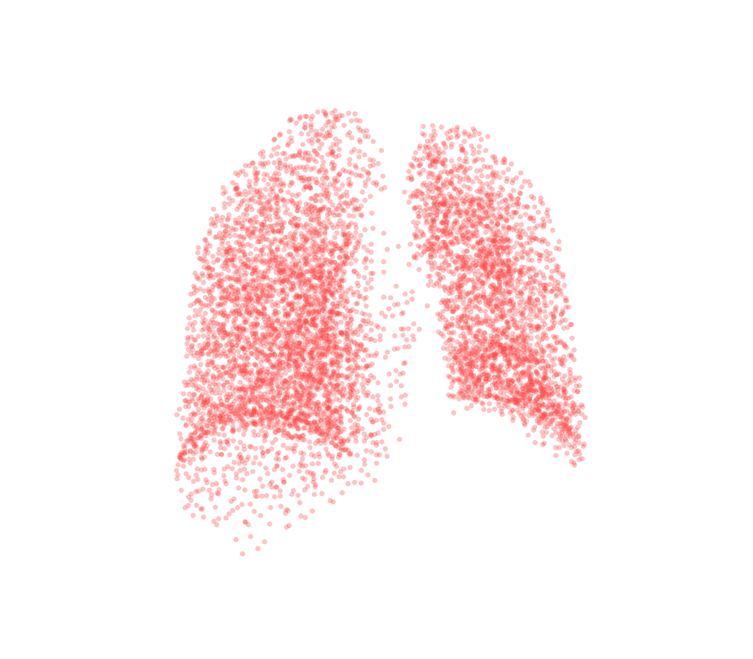 Point Cloud (Expiration) - Back View