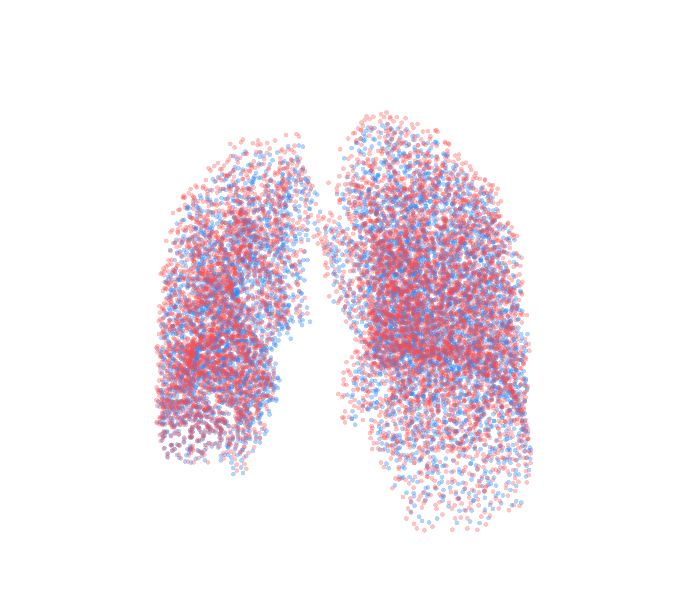 Point Cloud - Front View