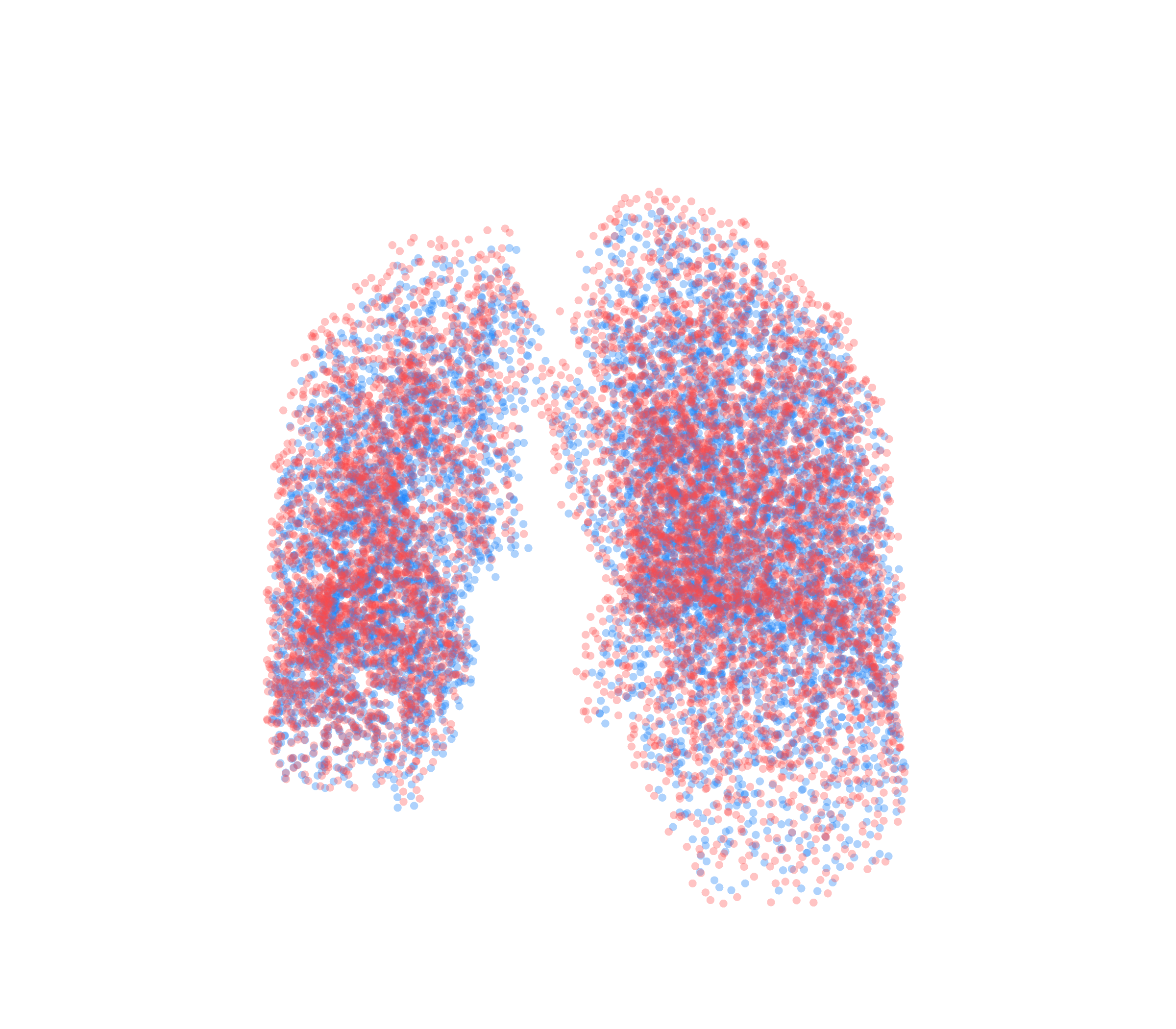 Point Cloud - Front View