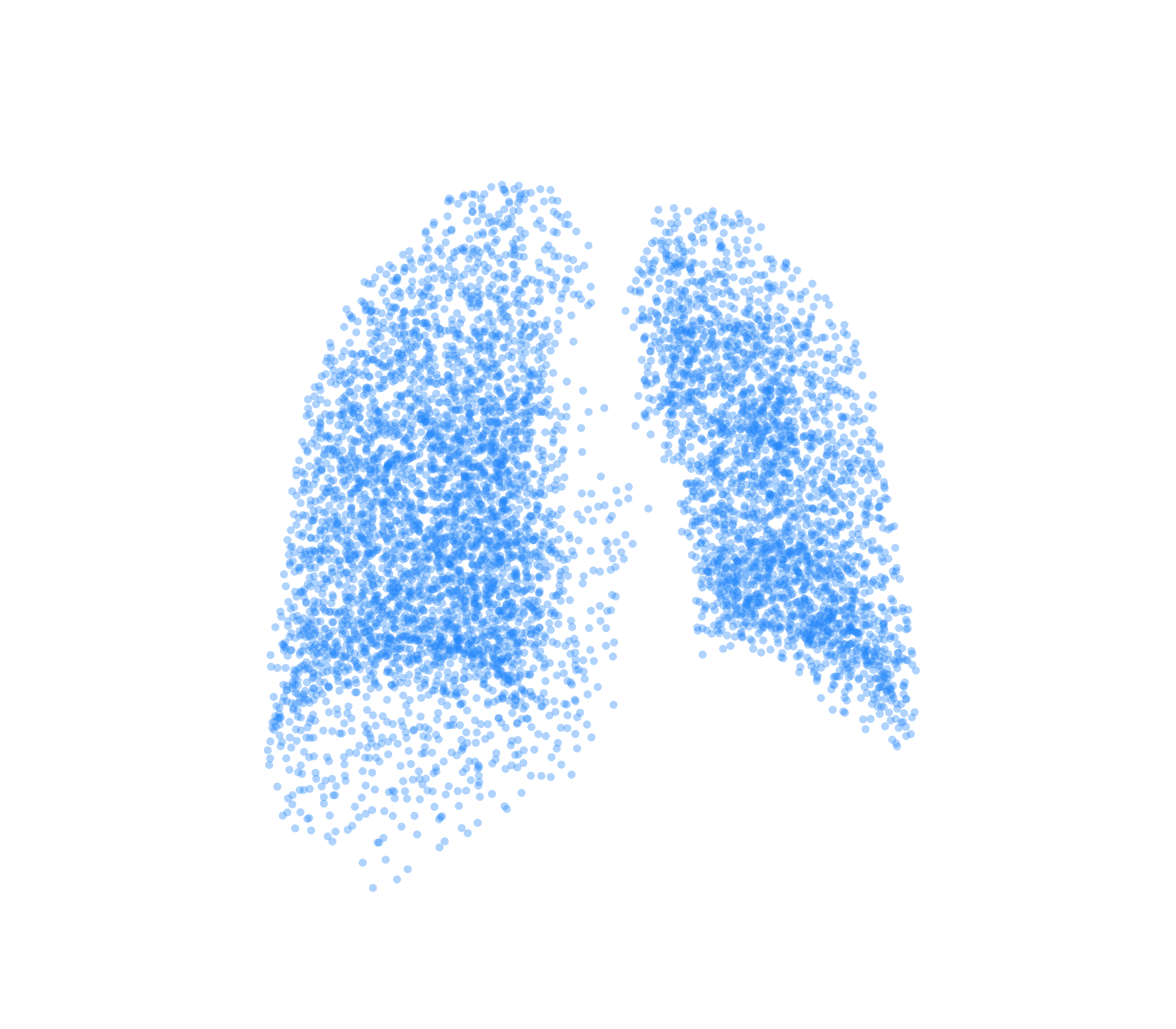 Point Cloud (Inspiration) - Back View