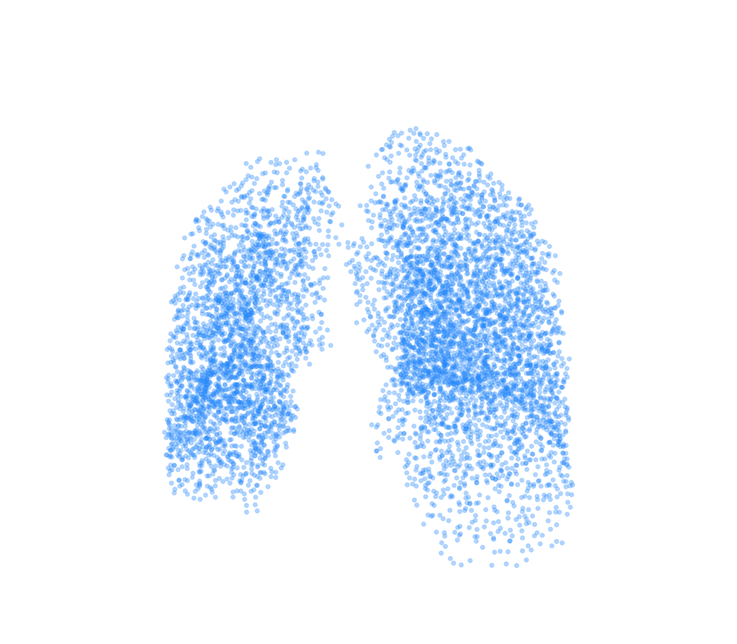 Point Cloud (Inspiration) - Front View