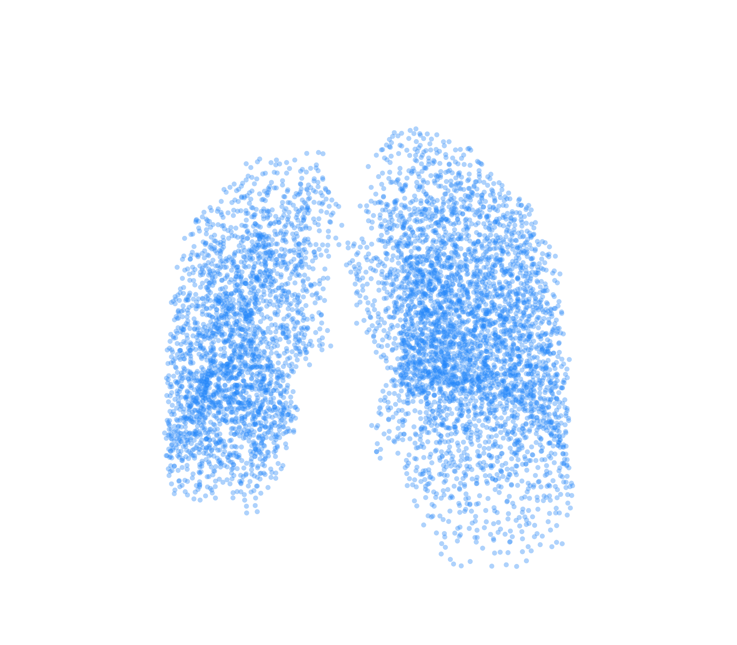 Point Cloud (Inspiration) - Front View