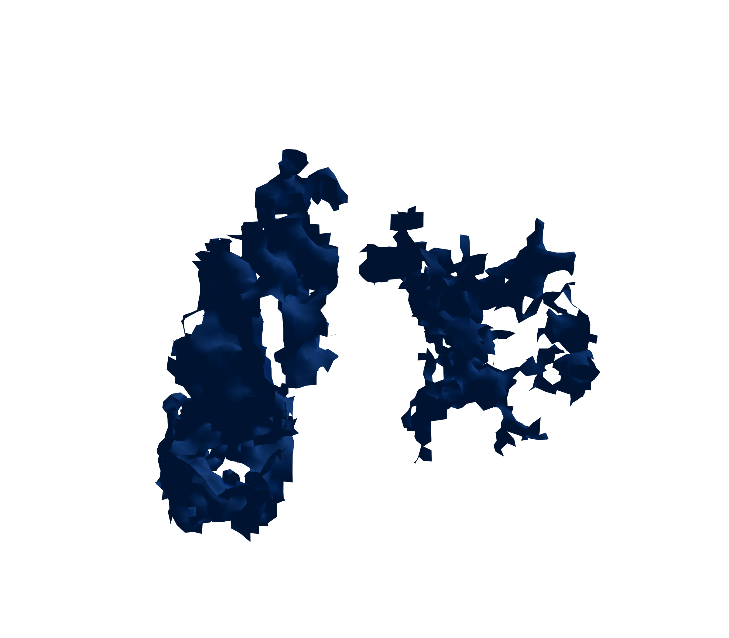 Surface Mesh (Inspiration) - Front View