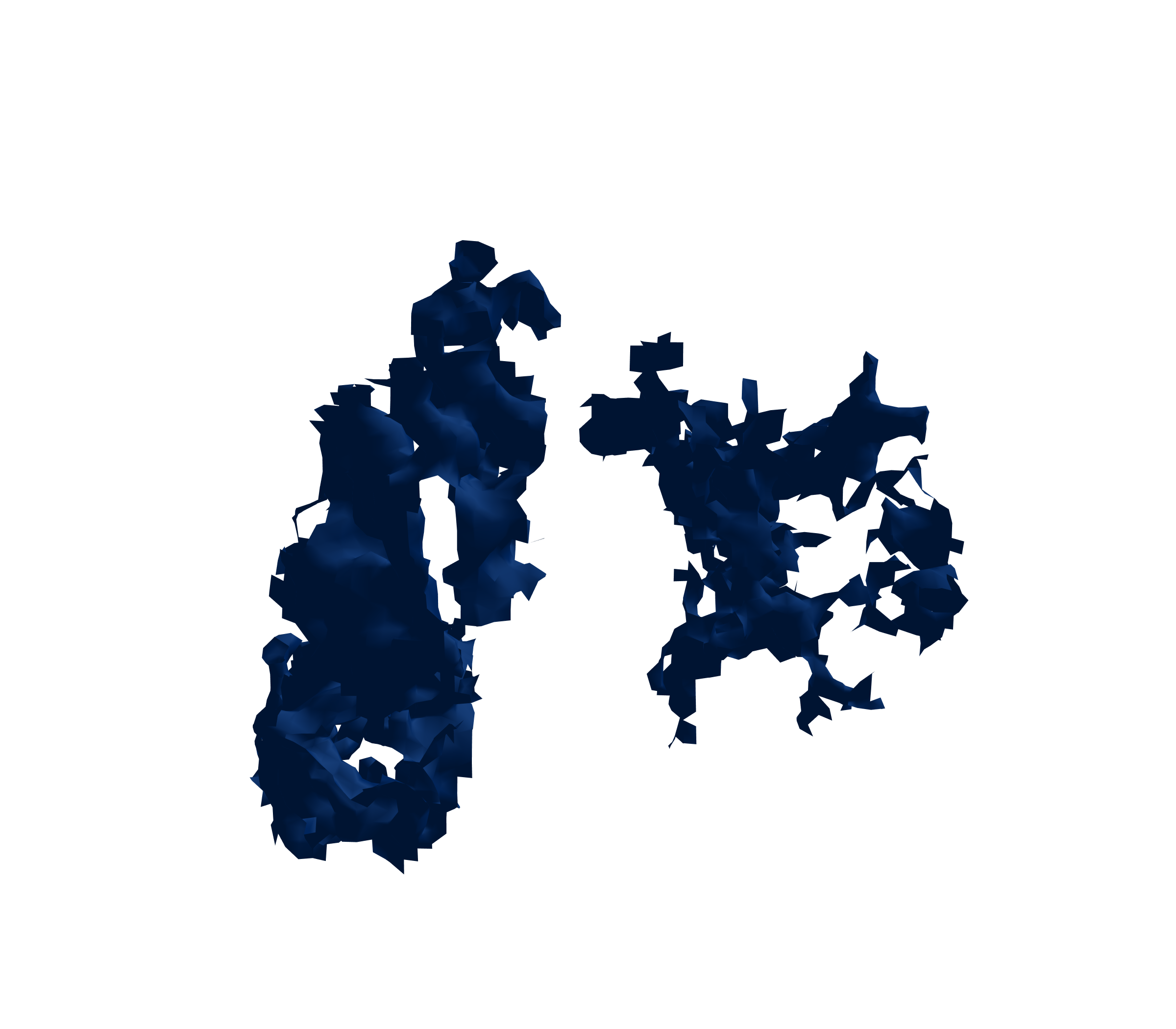 Surface Mesh (Inspiration) - Front View