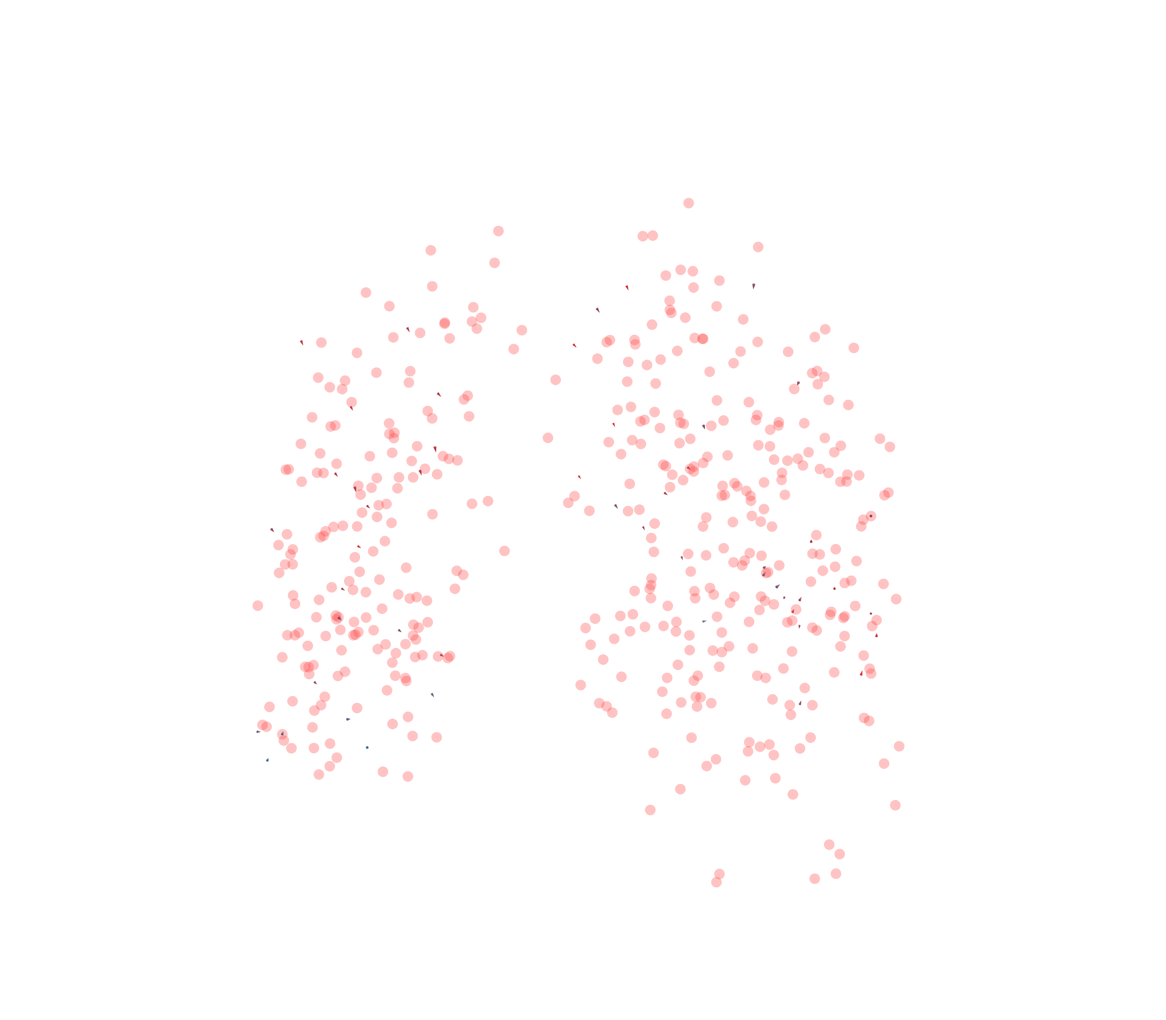 Displacement Vectors - Front View