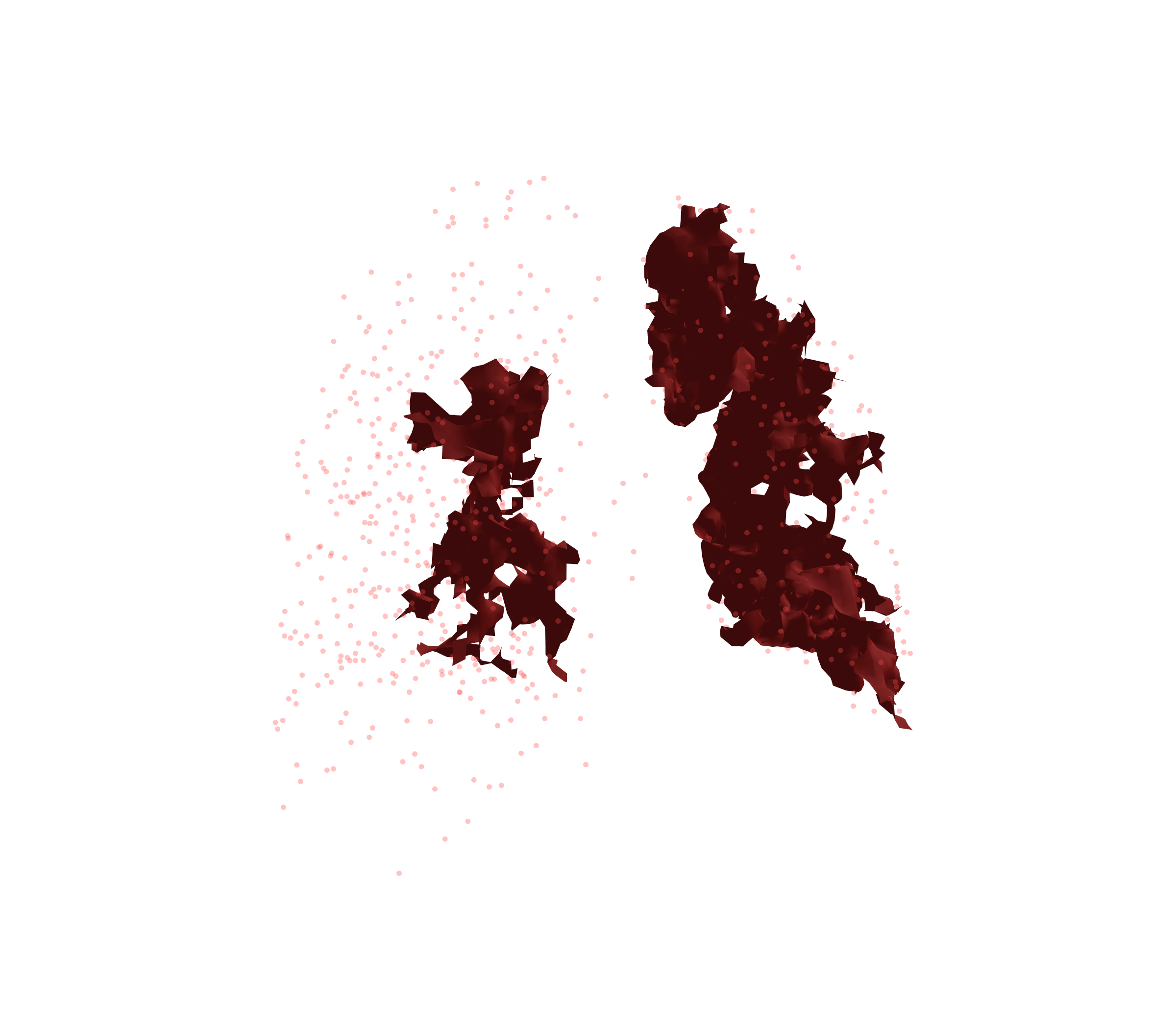 Combined Visualization (Expiration) - Back View