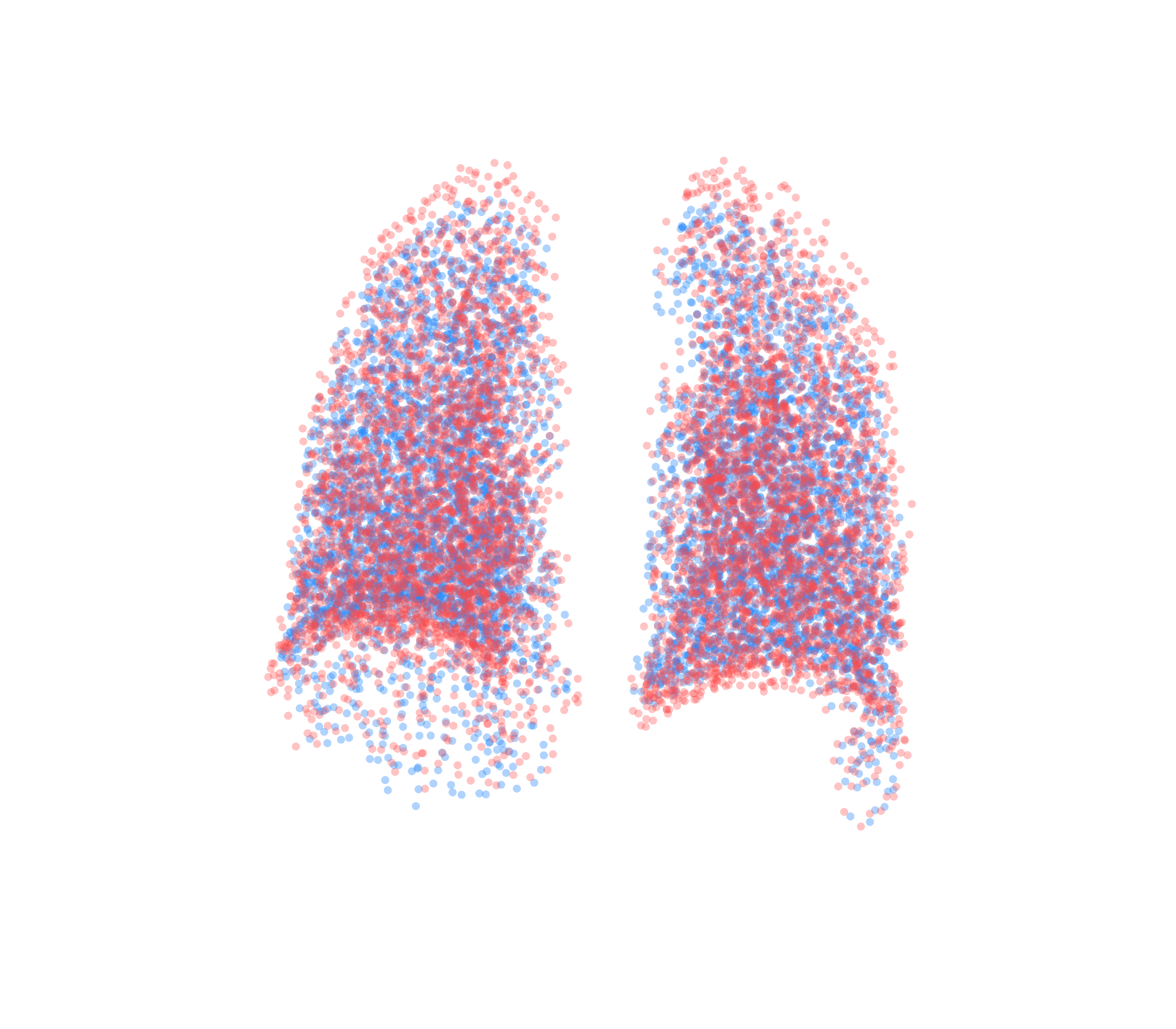 Point Cloud - Back View