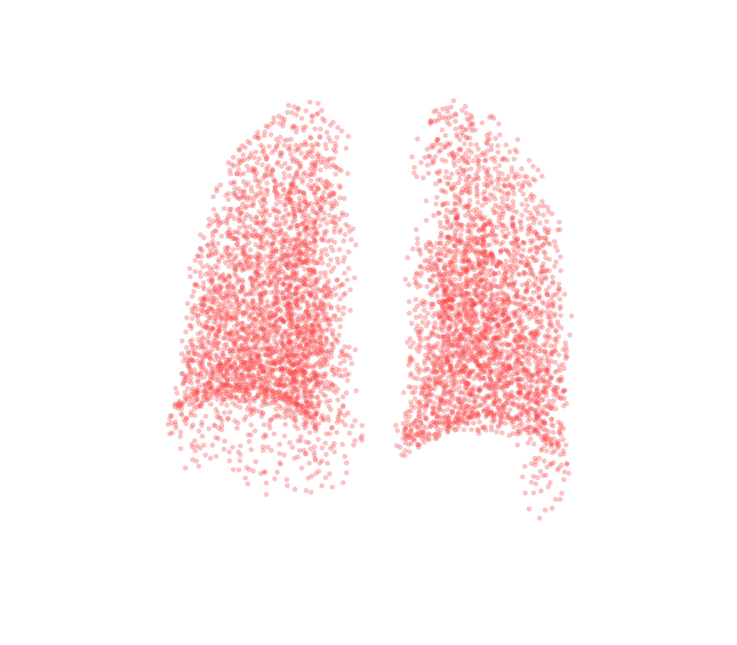 Point Cloud (Expiration) - Back View