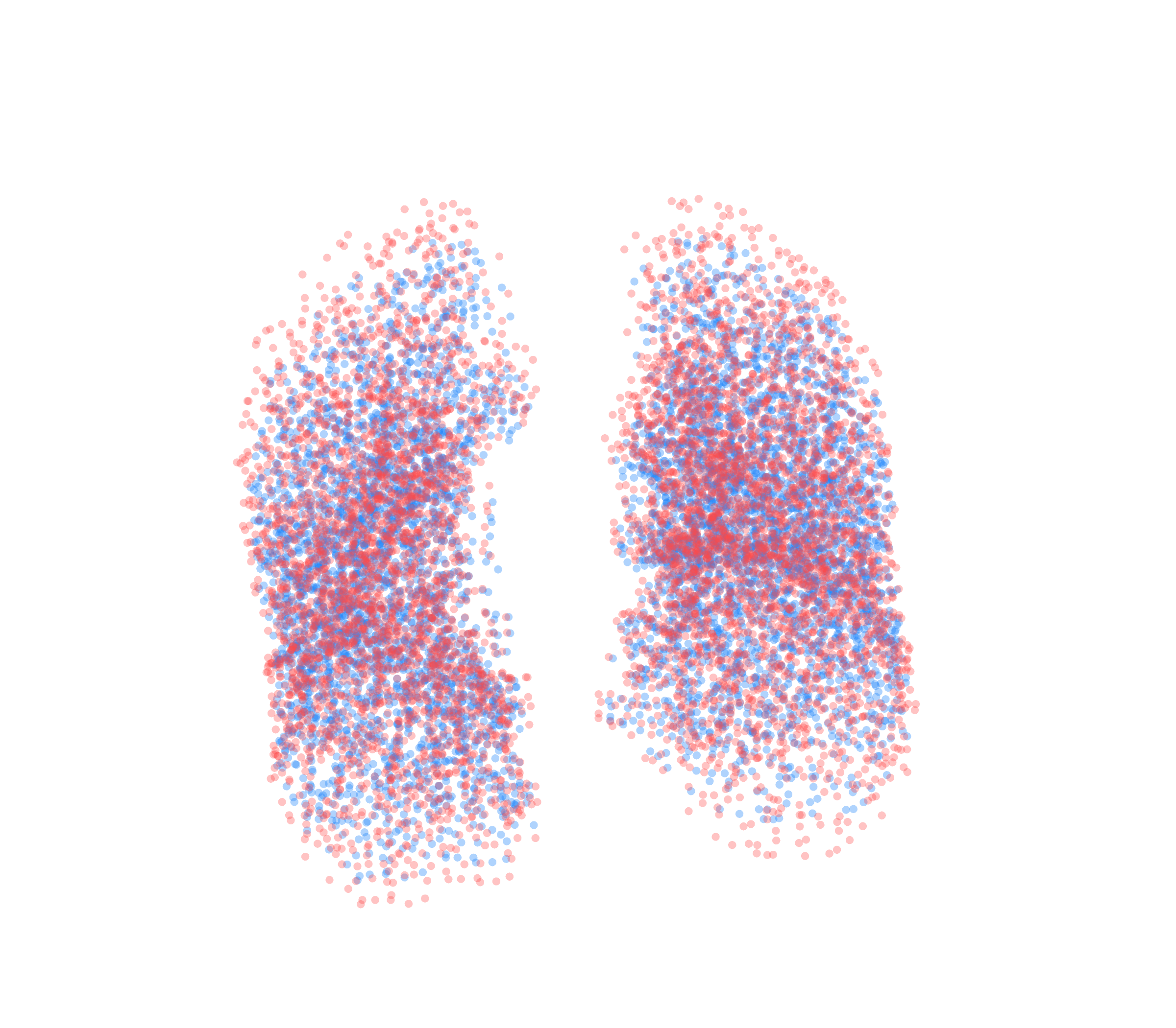 Point Cloud - Front View