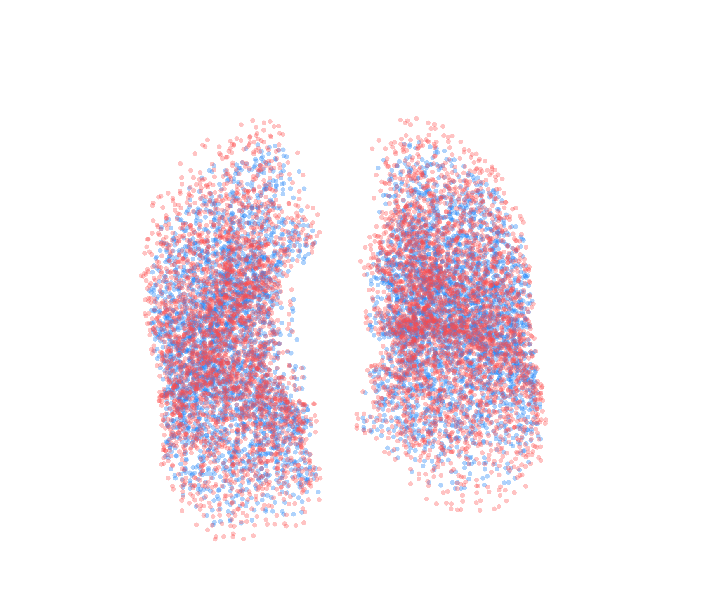 Point Cloud - Front View