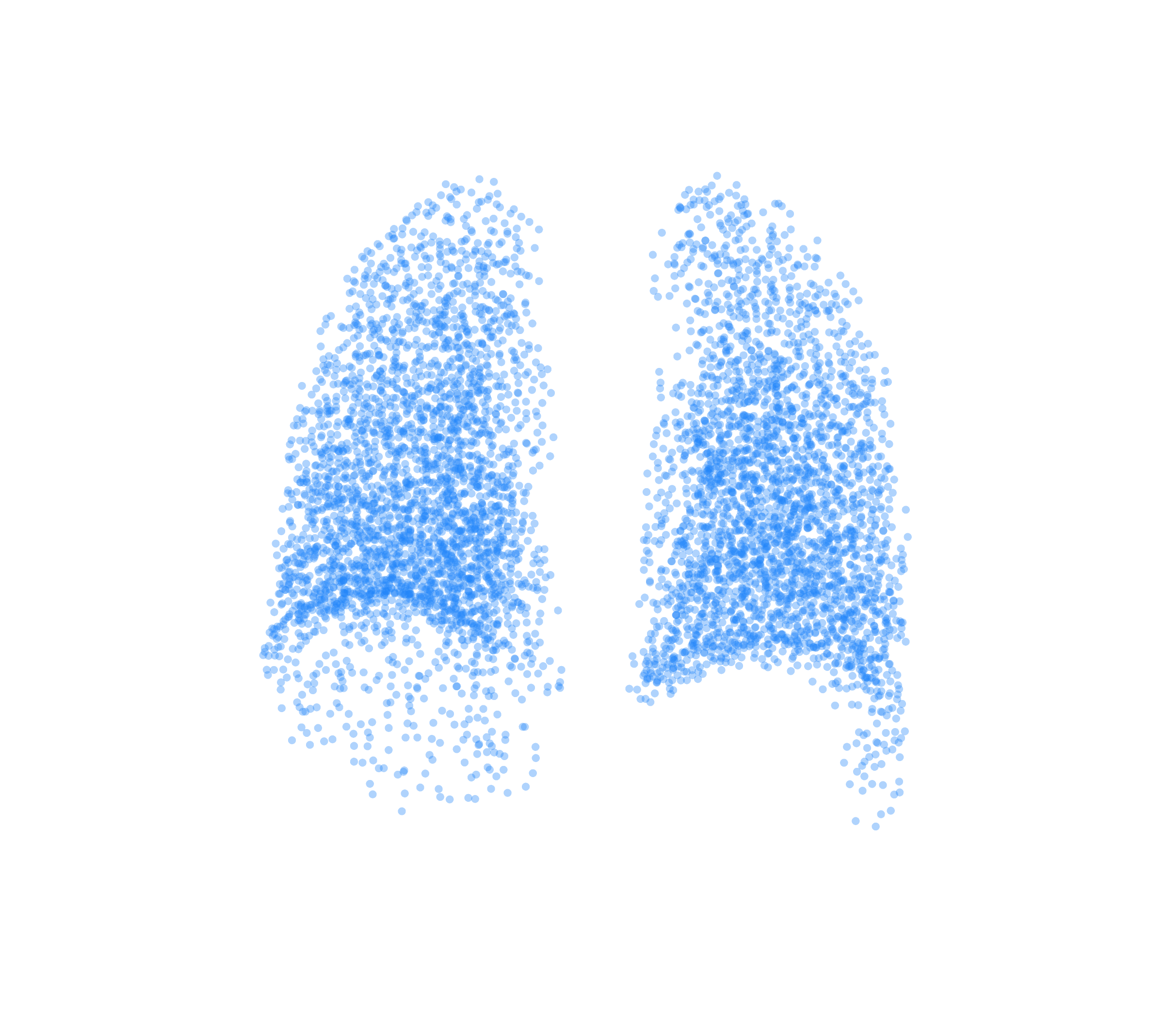 Point Cloud (Inspiration) - Back View