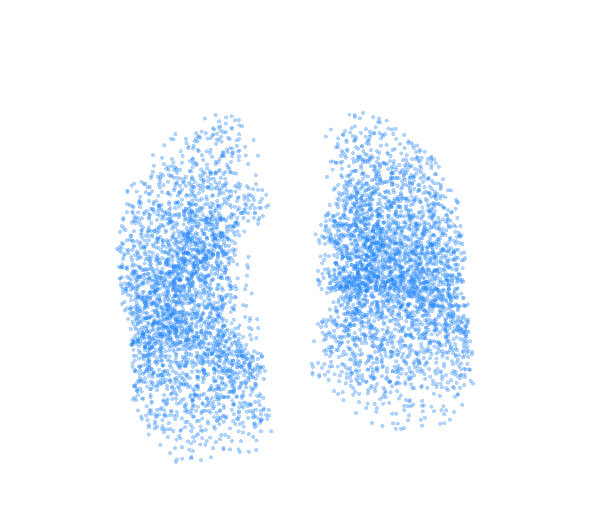Point Cloud (Inspiration) - Front View