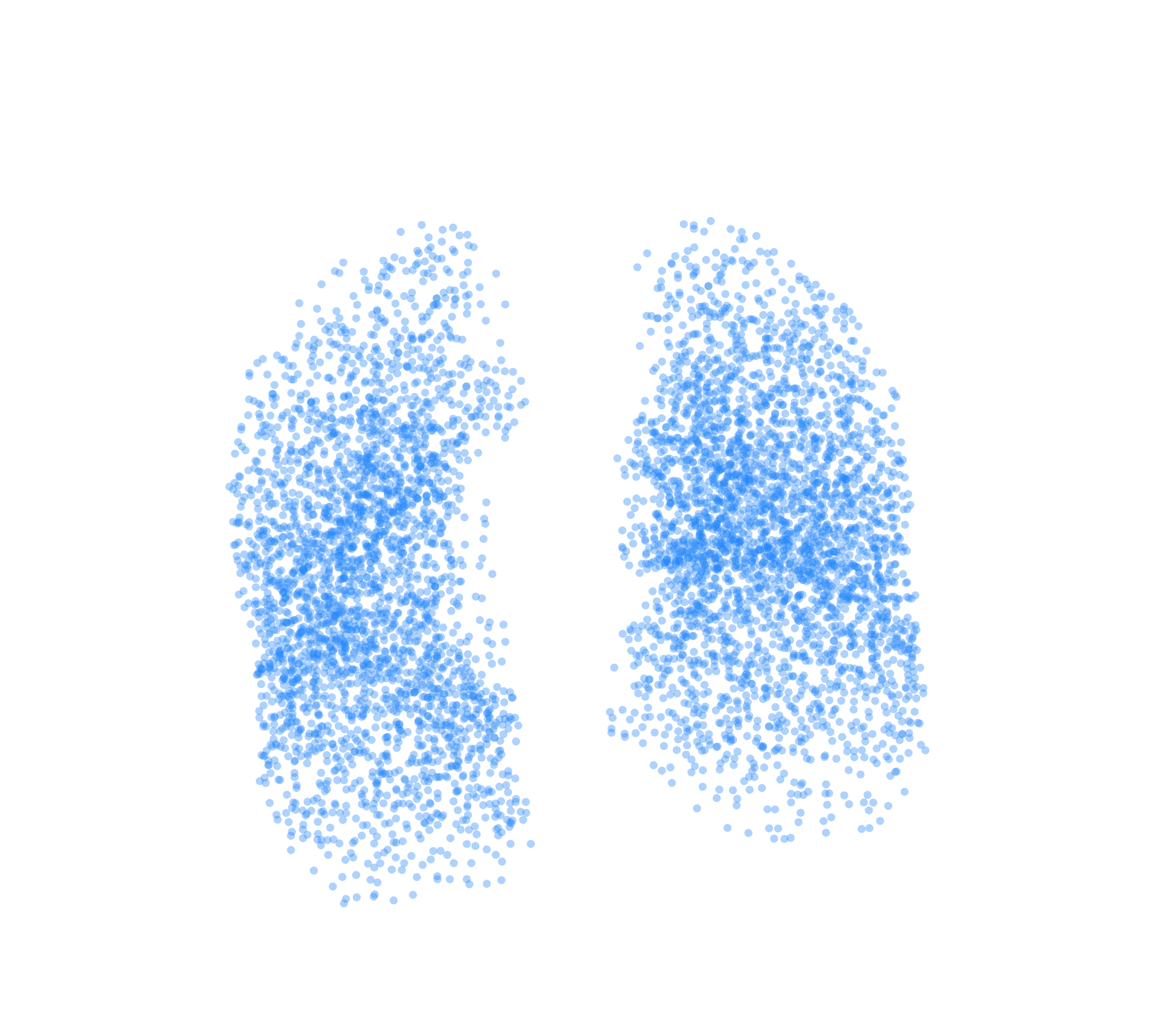 Point Cloud (Inspiration) - Front View