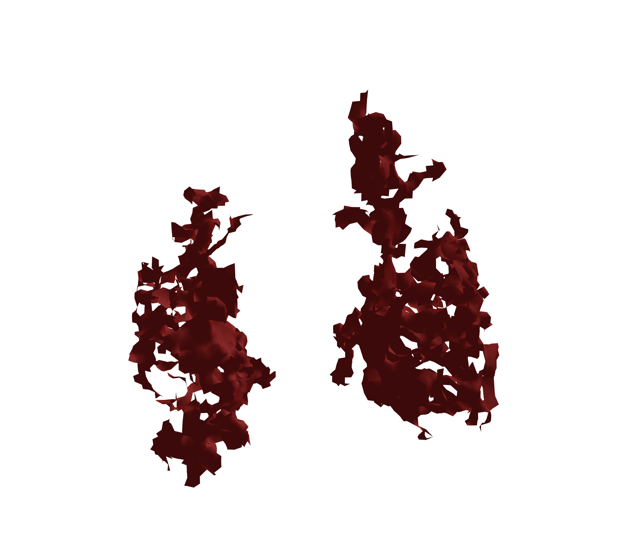 Surface Mesh (Expiration) - Front View