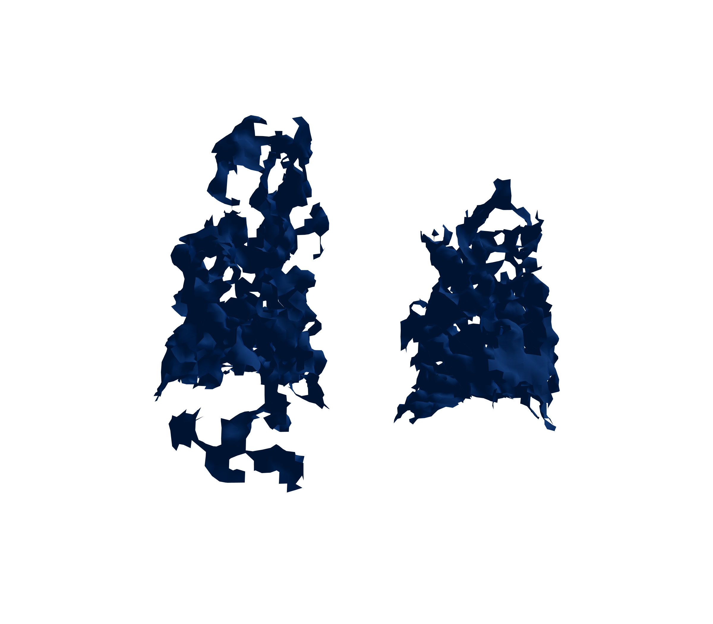 Surface Mesh (Inspiration) - Back View