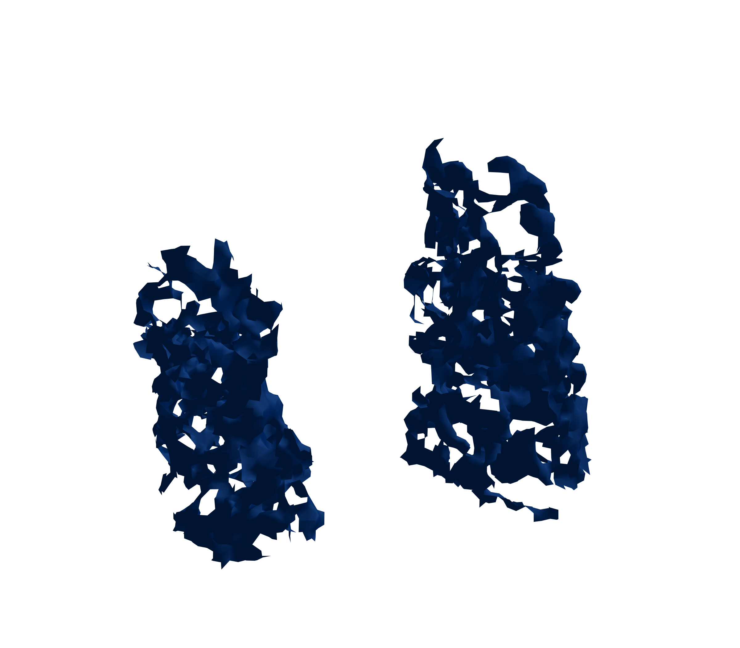 Surface Mesh (Inspiration) - Front View