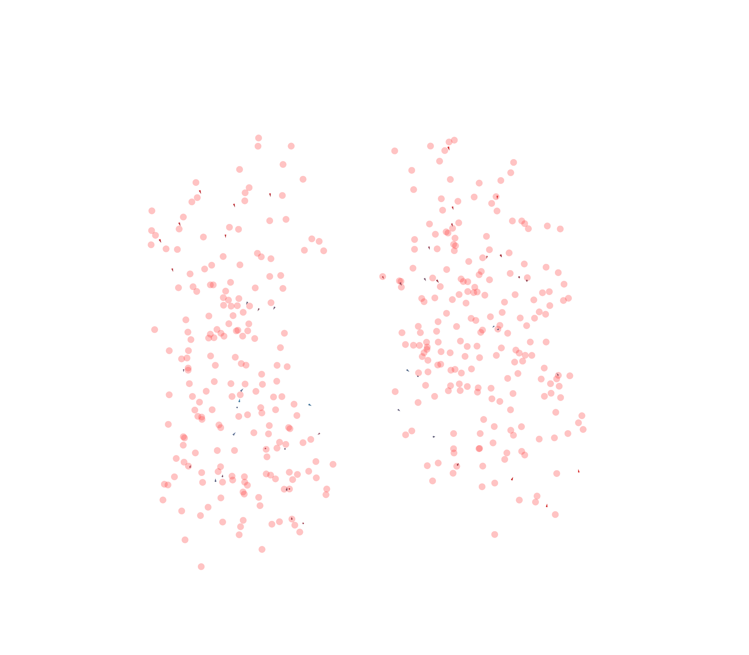 Displacement Vectors - Front View