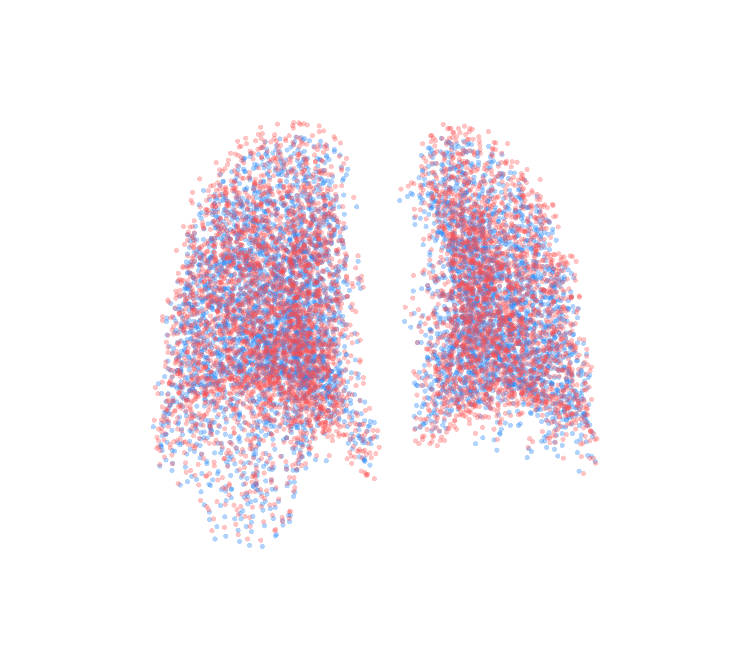 Point Cloud - Back View