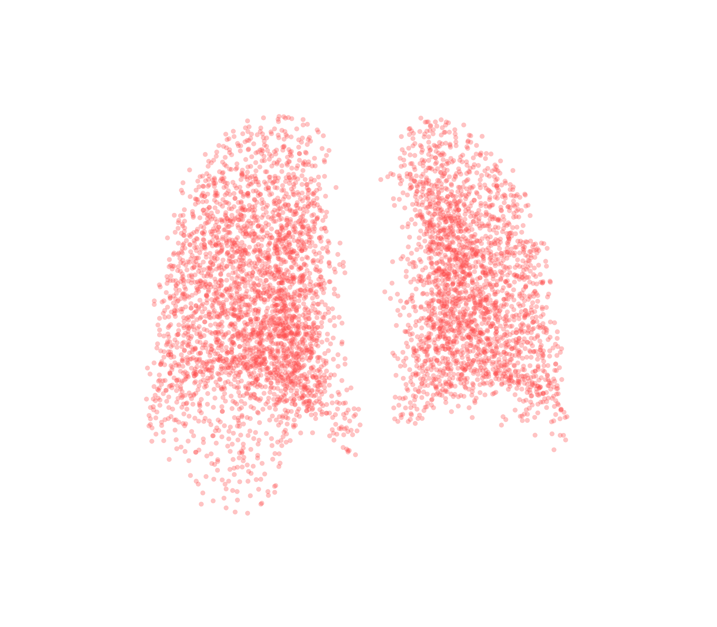Point Cloud (Expiration) - Back View