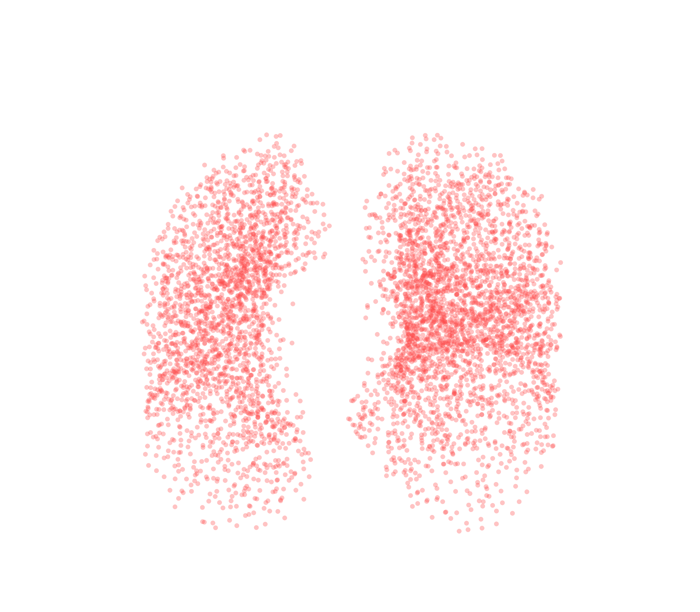 Point Cloud (Expiration) - Front View