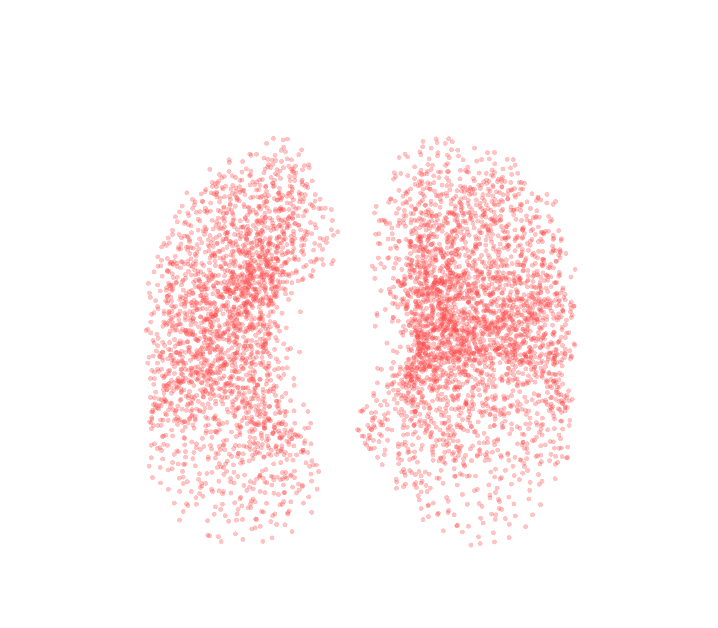 Point Cloud (Expiration) - Front View