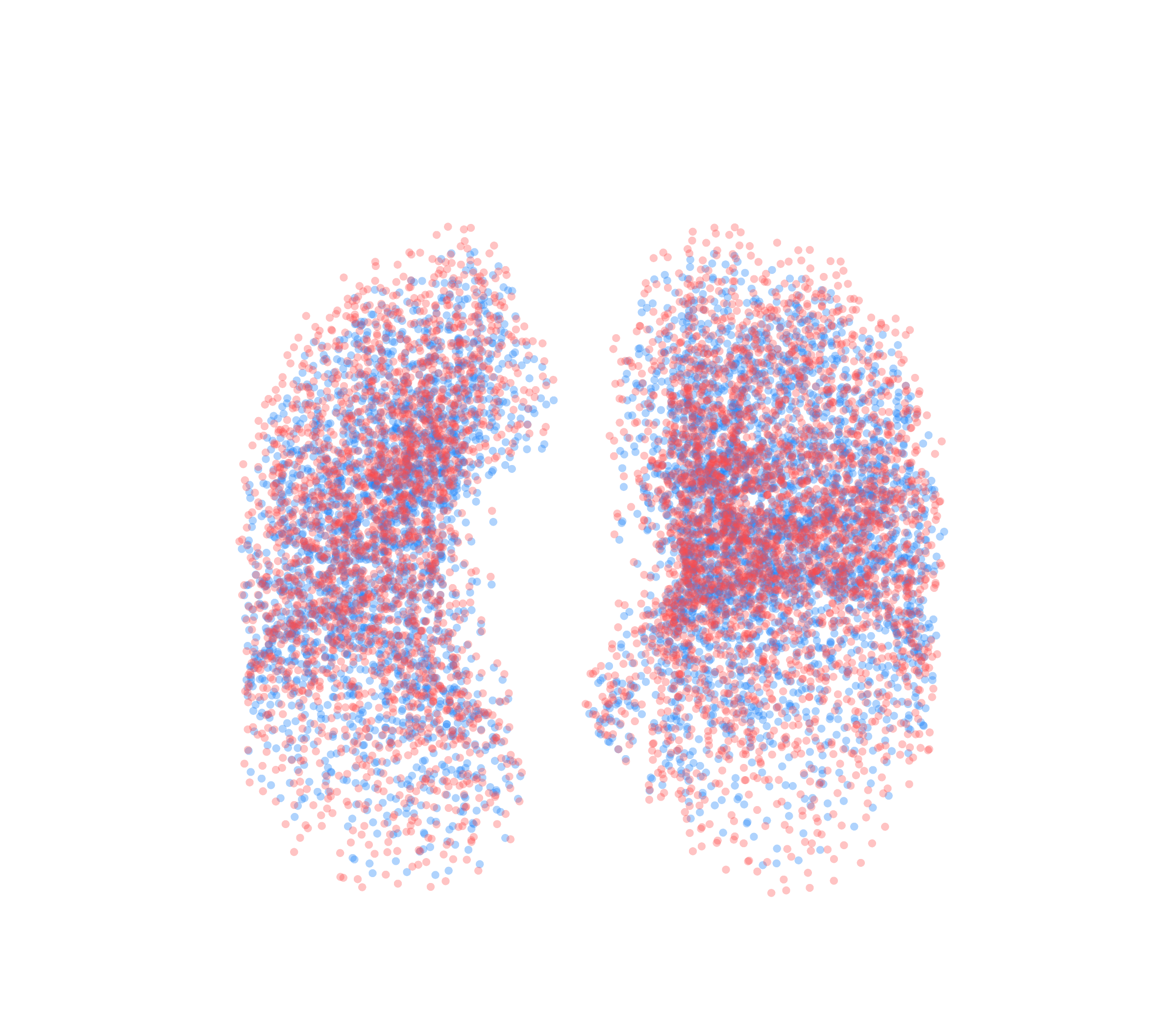Point Cloud - Front View