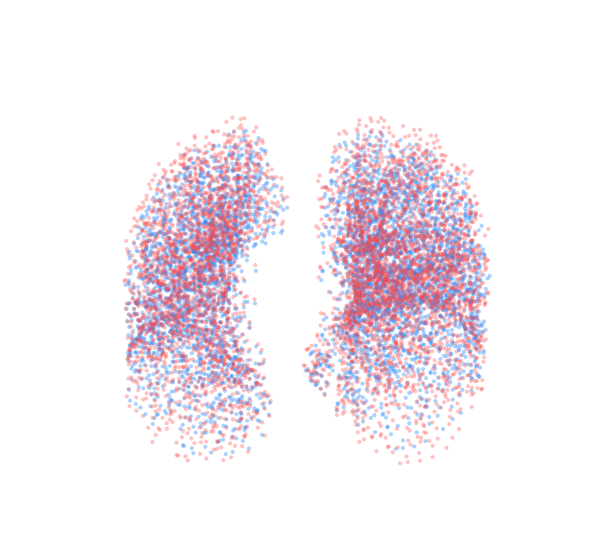 Point Cloud - Front View