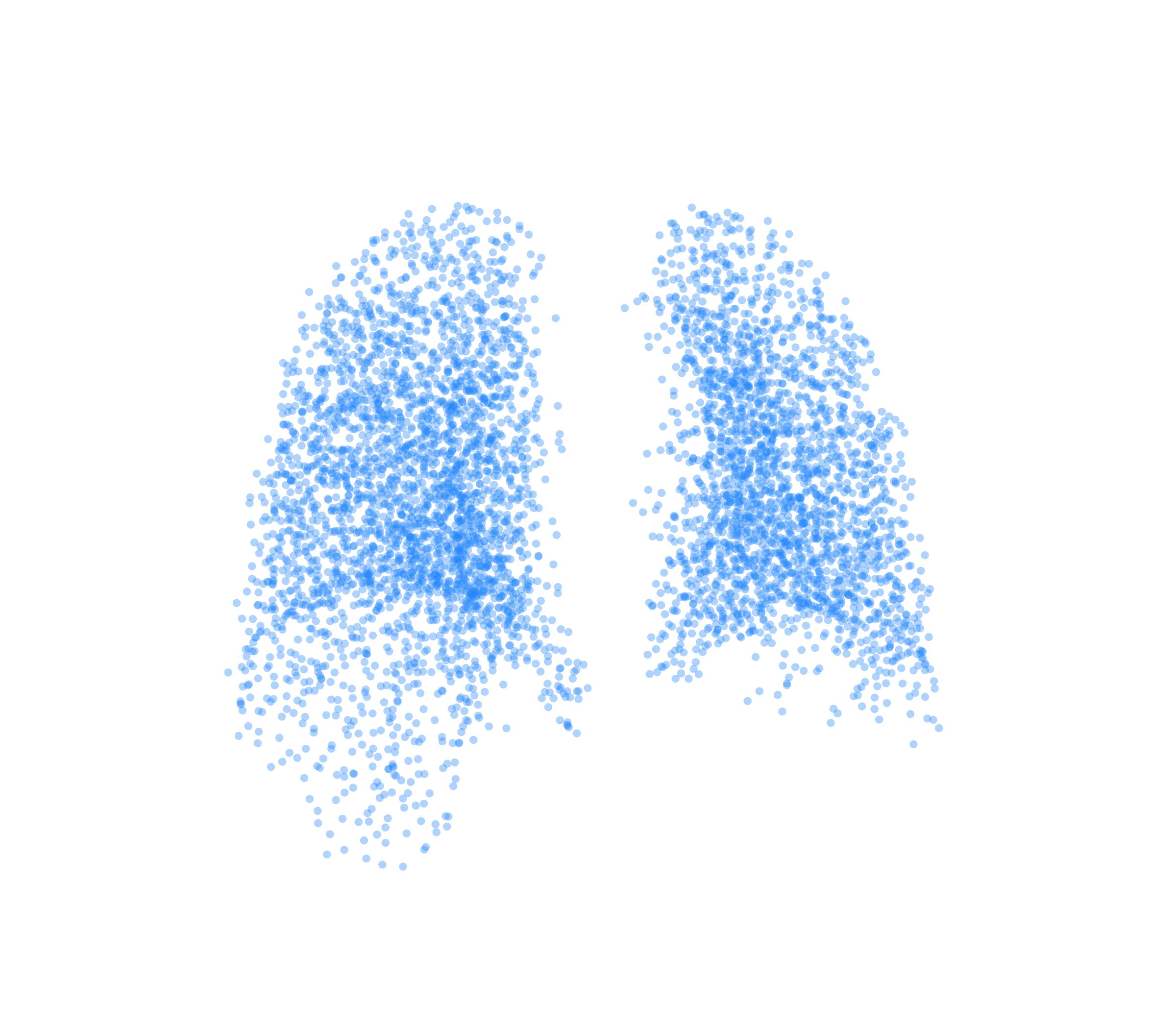 Point Cloud (Inspiration) - Back View