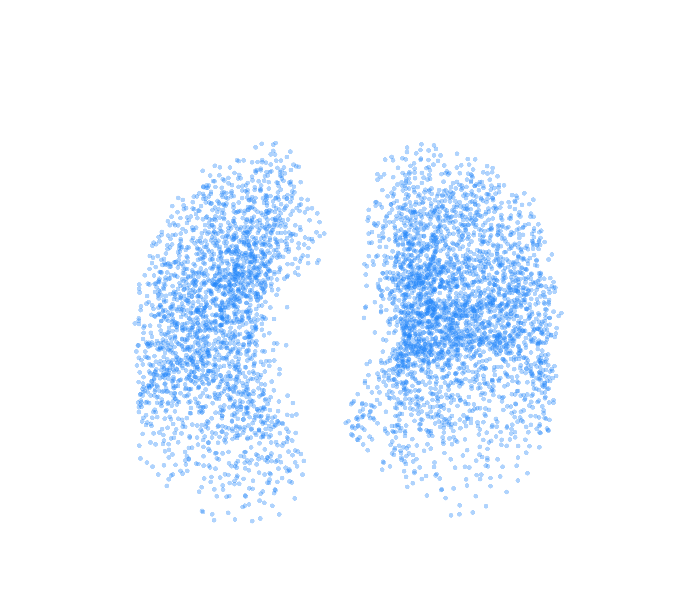 Point Cloud (Inspiration) - Front View