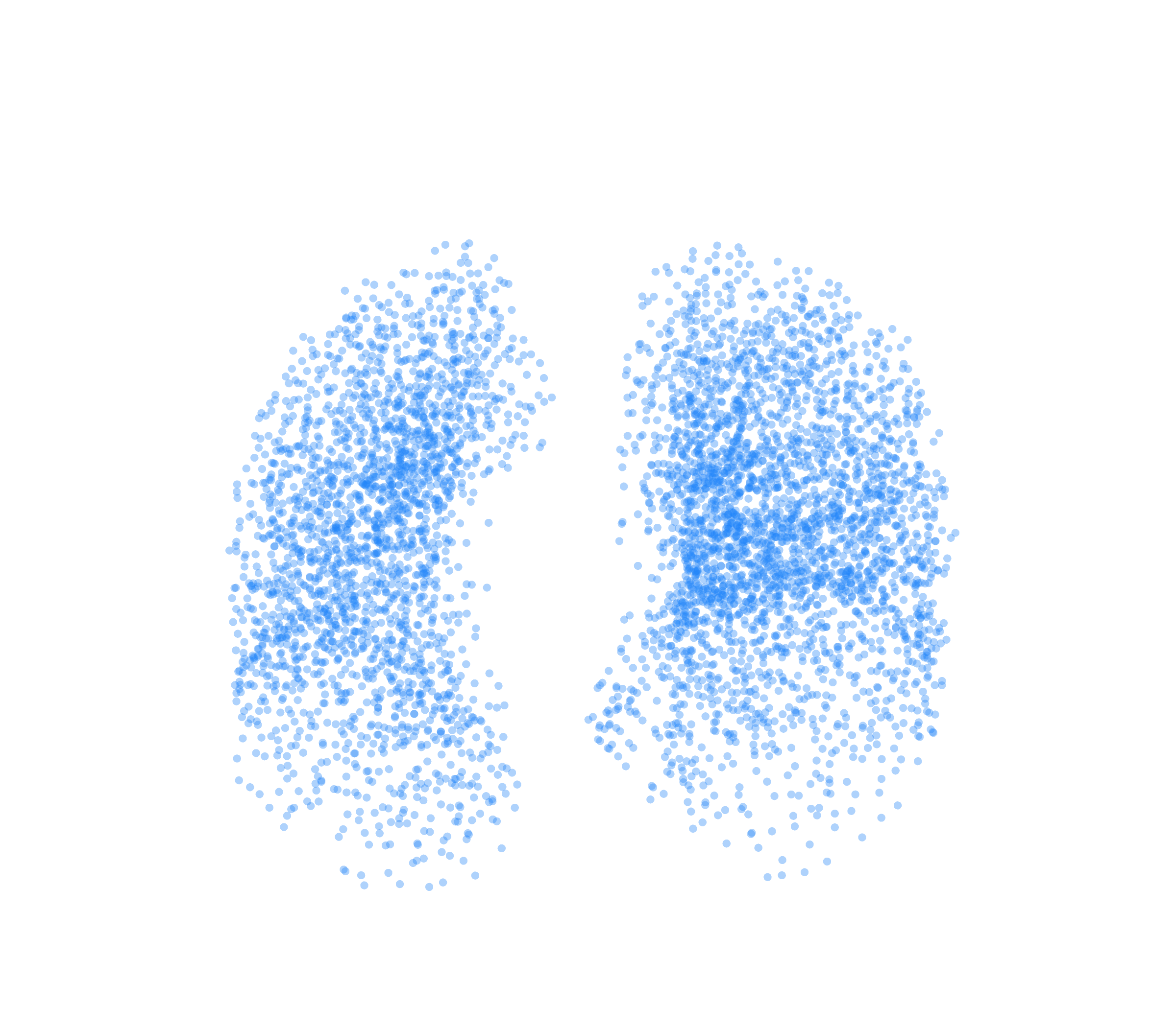Point Cloud (Inspiration) - Front View