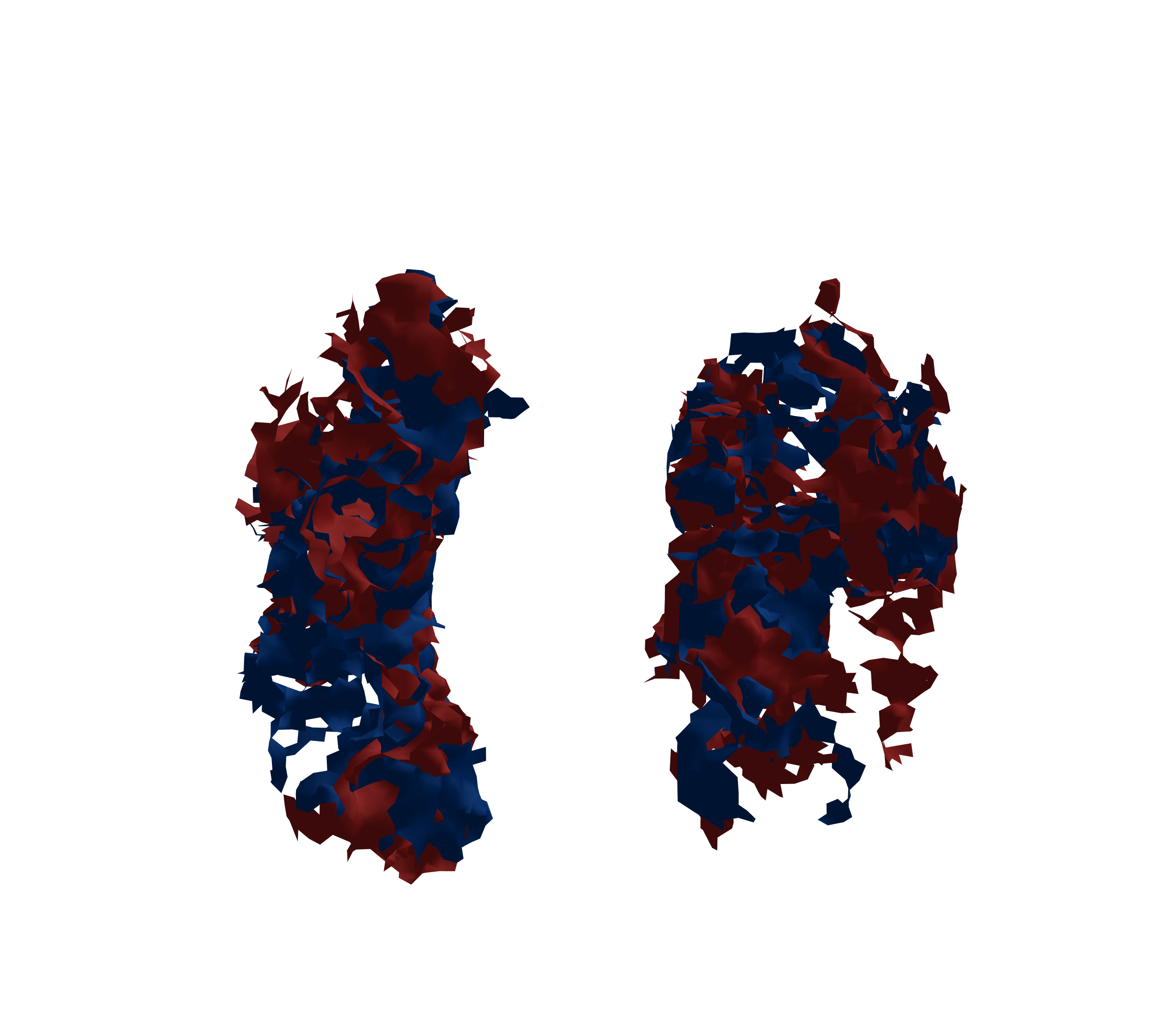 Surface Mesh - Front View