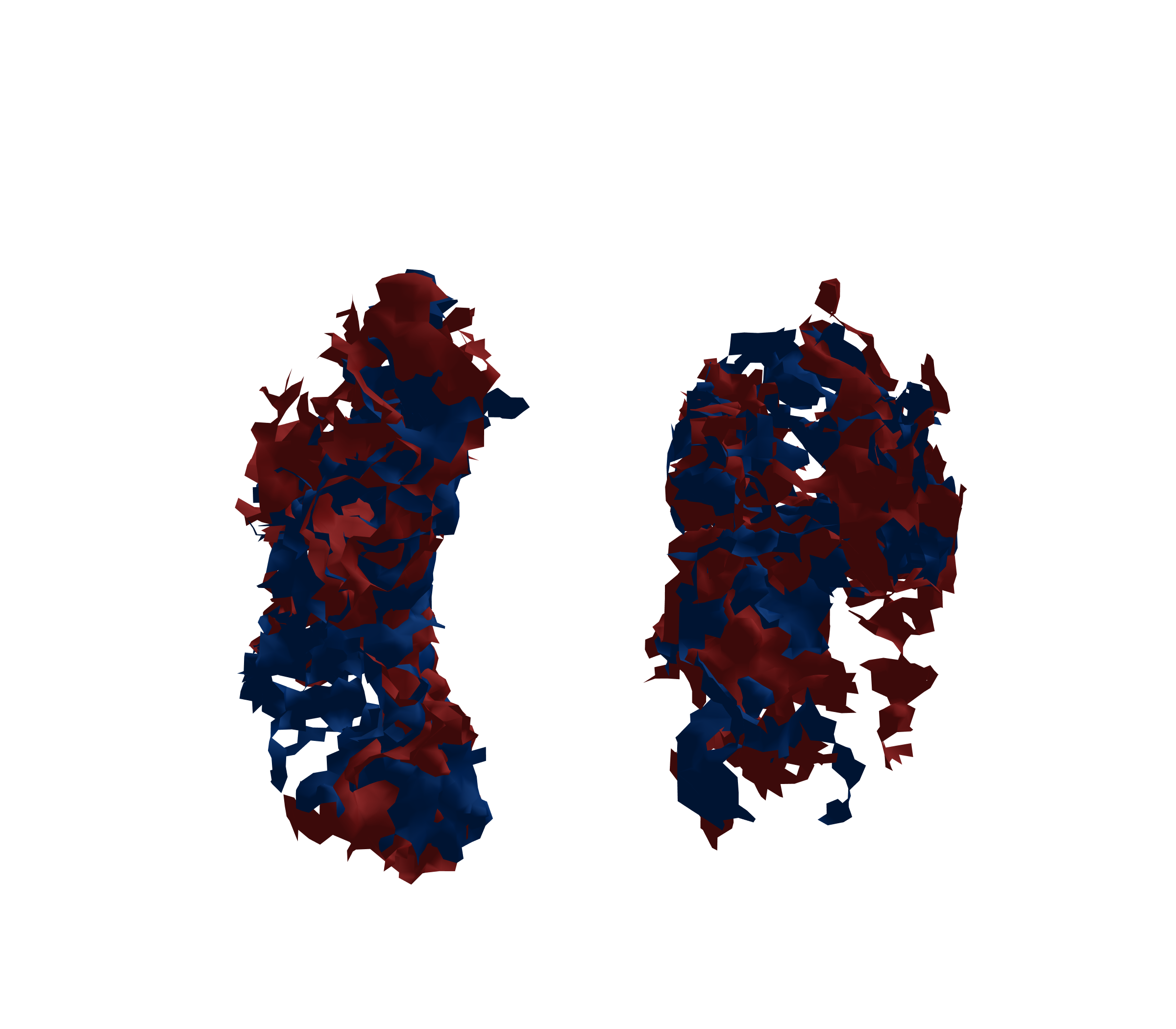 Surface Mesh - Front View