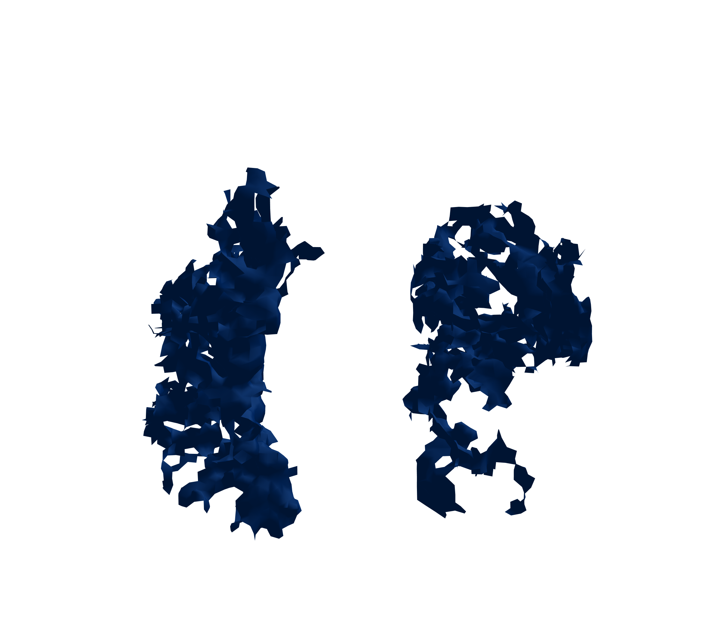 Surface Mesh (Inspiration) - Front View