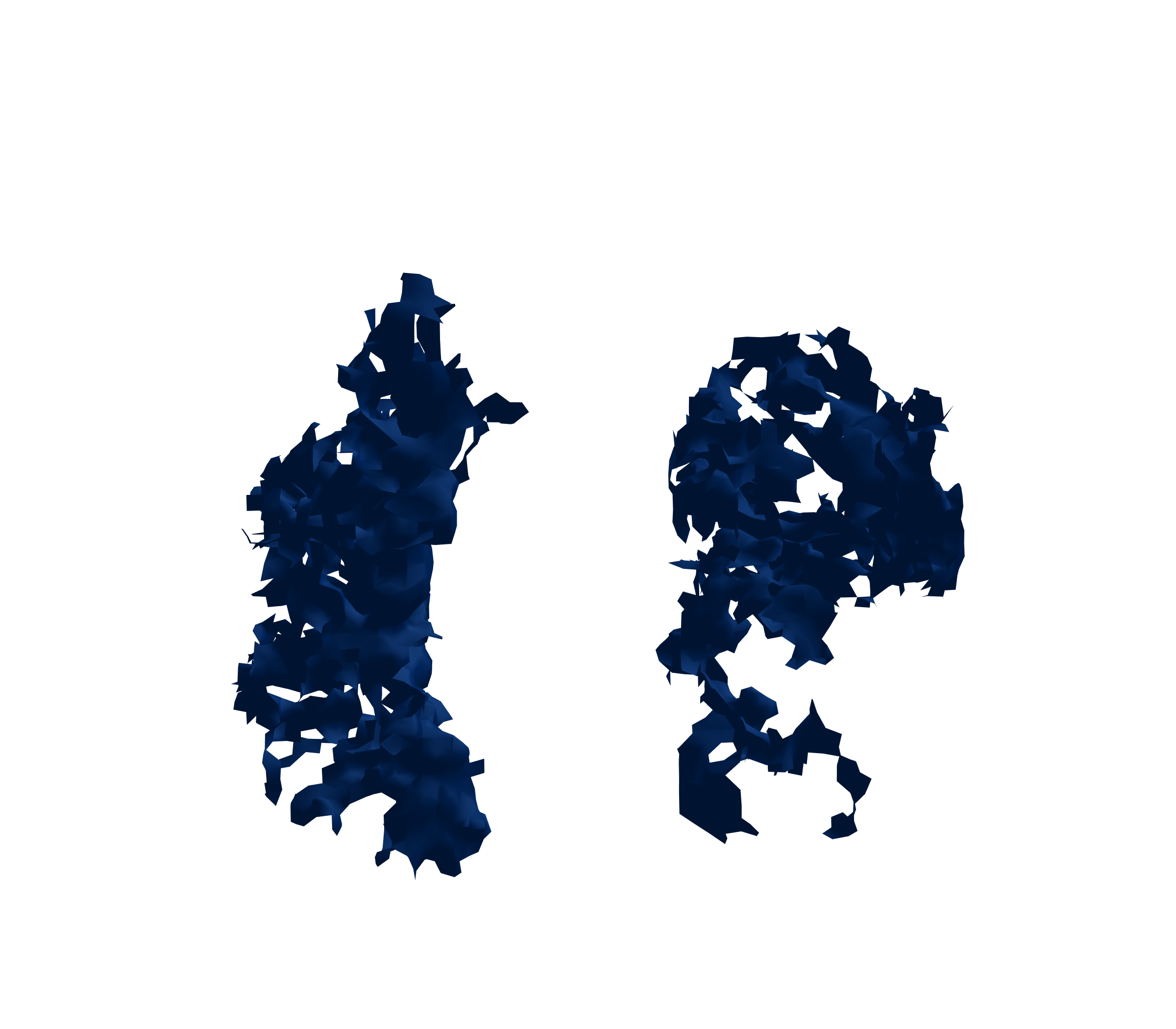 Surface Mesh (Inspiration) - Front View