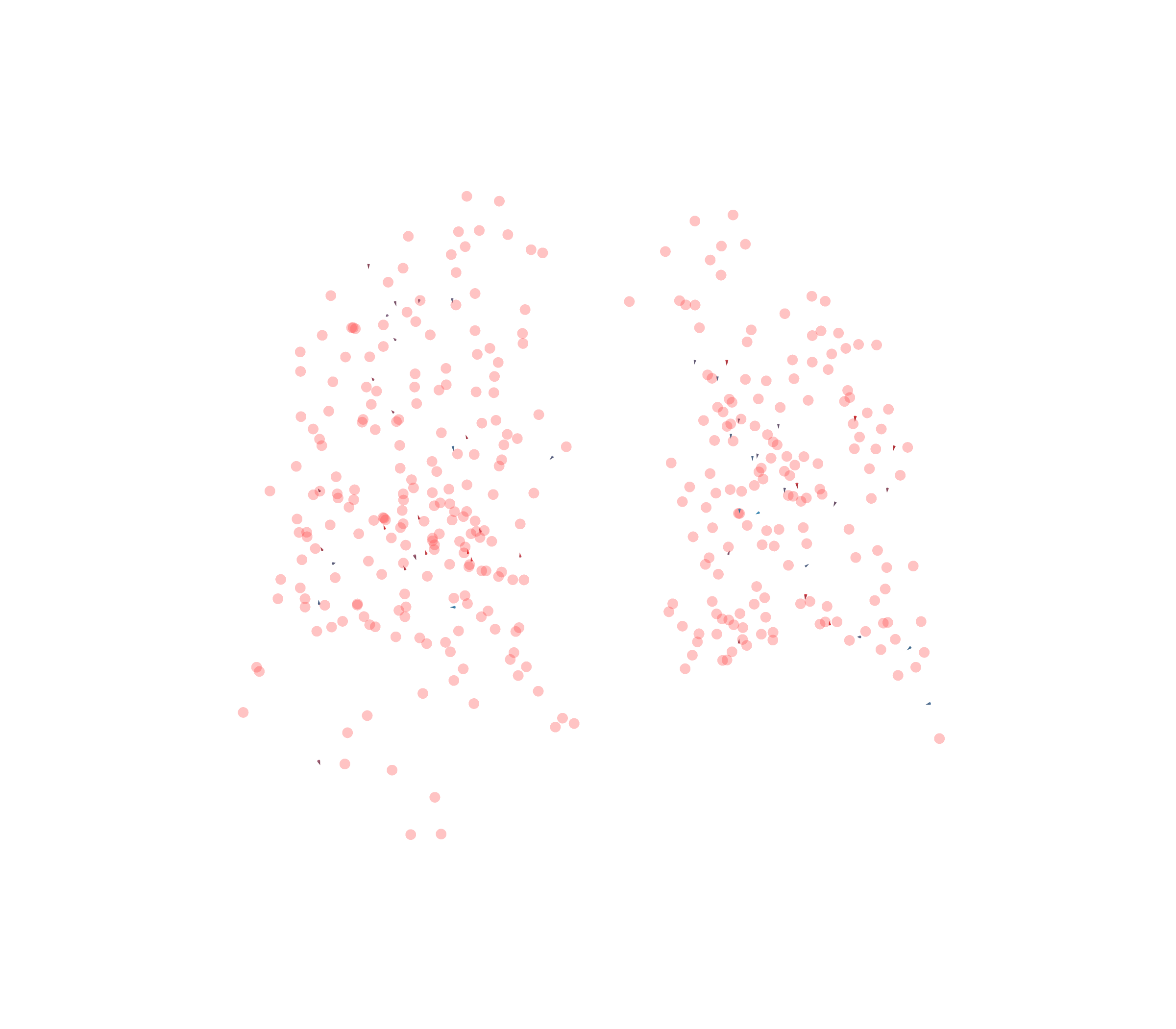Displacement Vectors - Back View