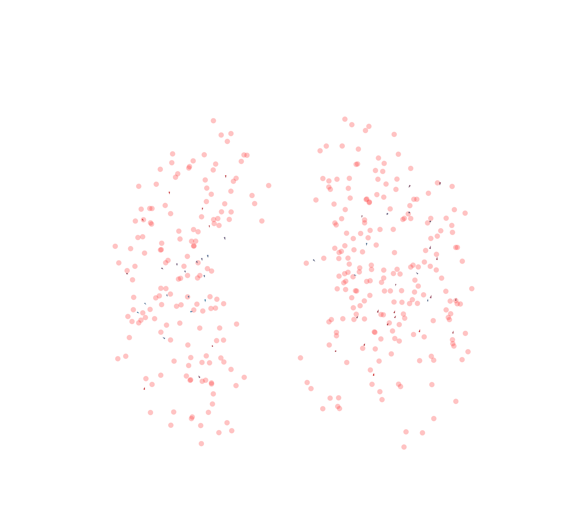 Displacement Vectors - Front View