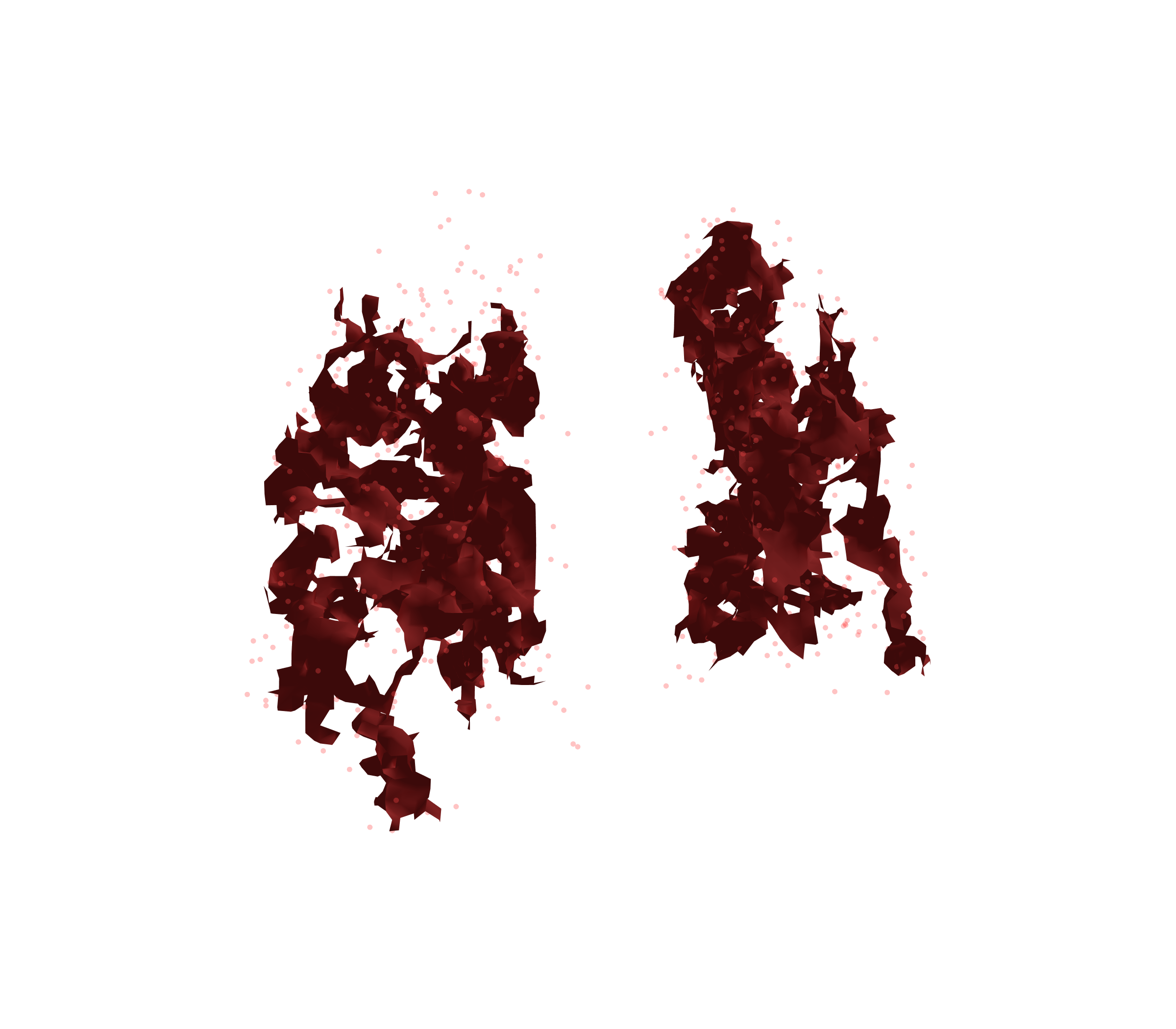 Combined Visualization (Expiration) - Back View