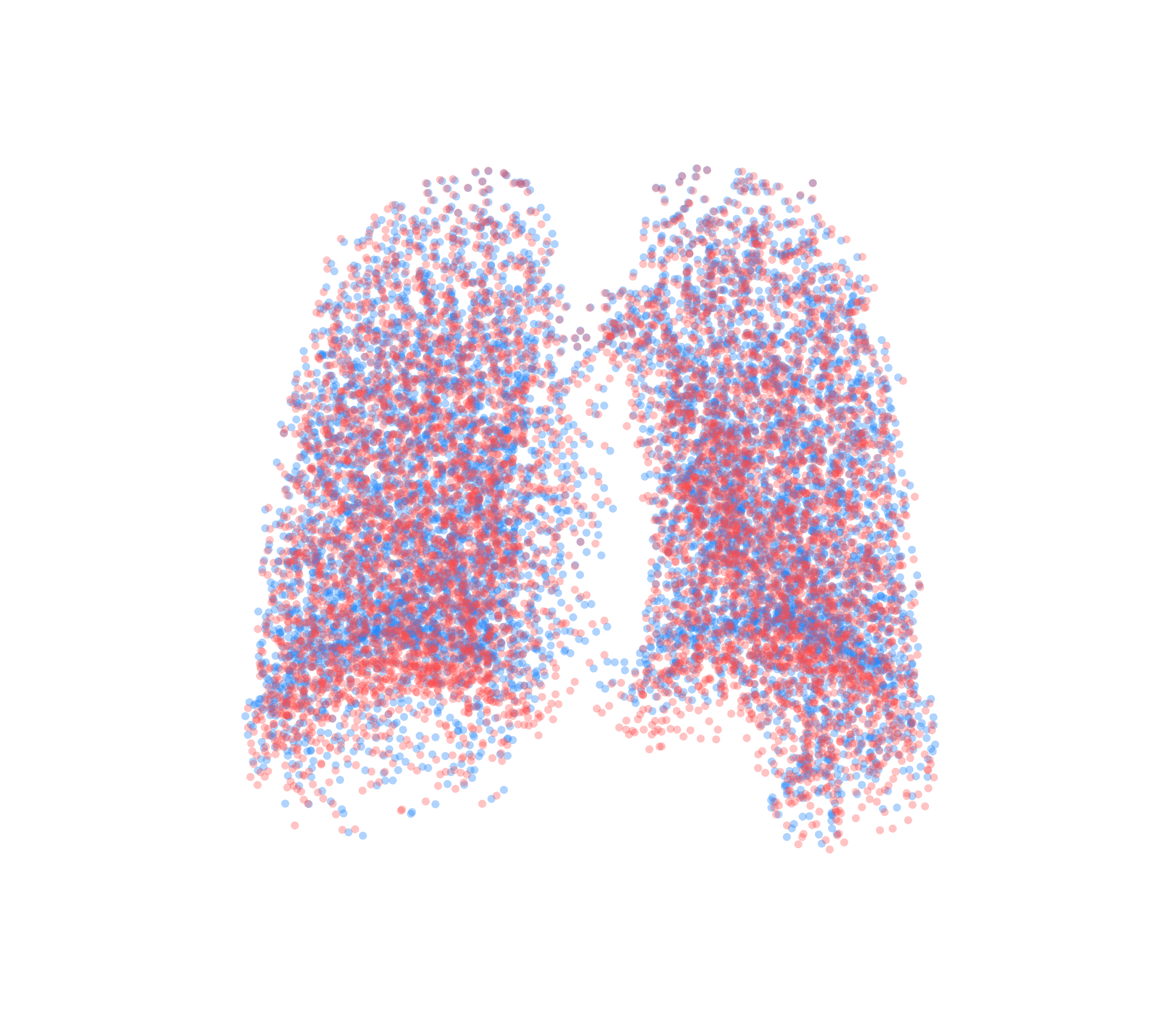 Point Cloud - Back View