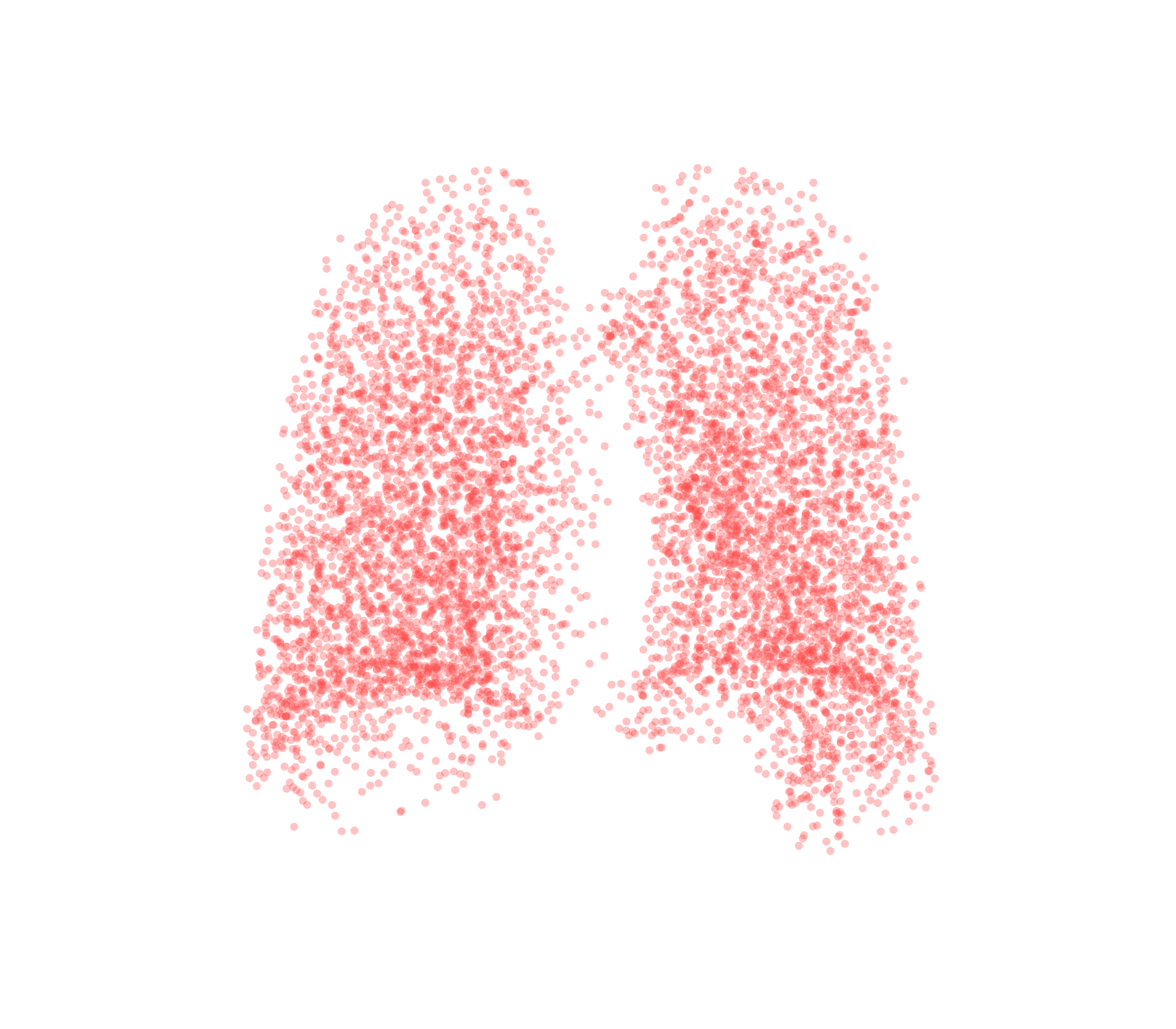 Point Cloud (Expiration) - Back View