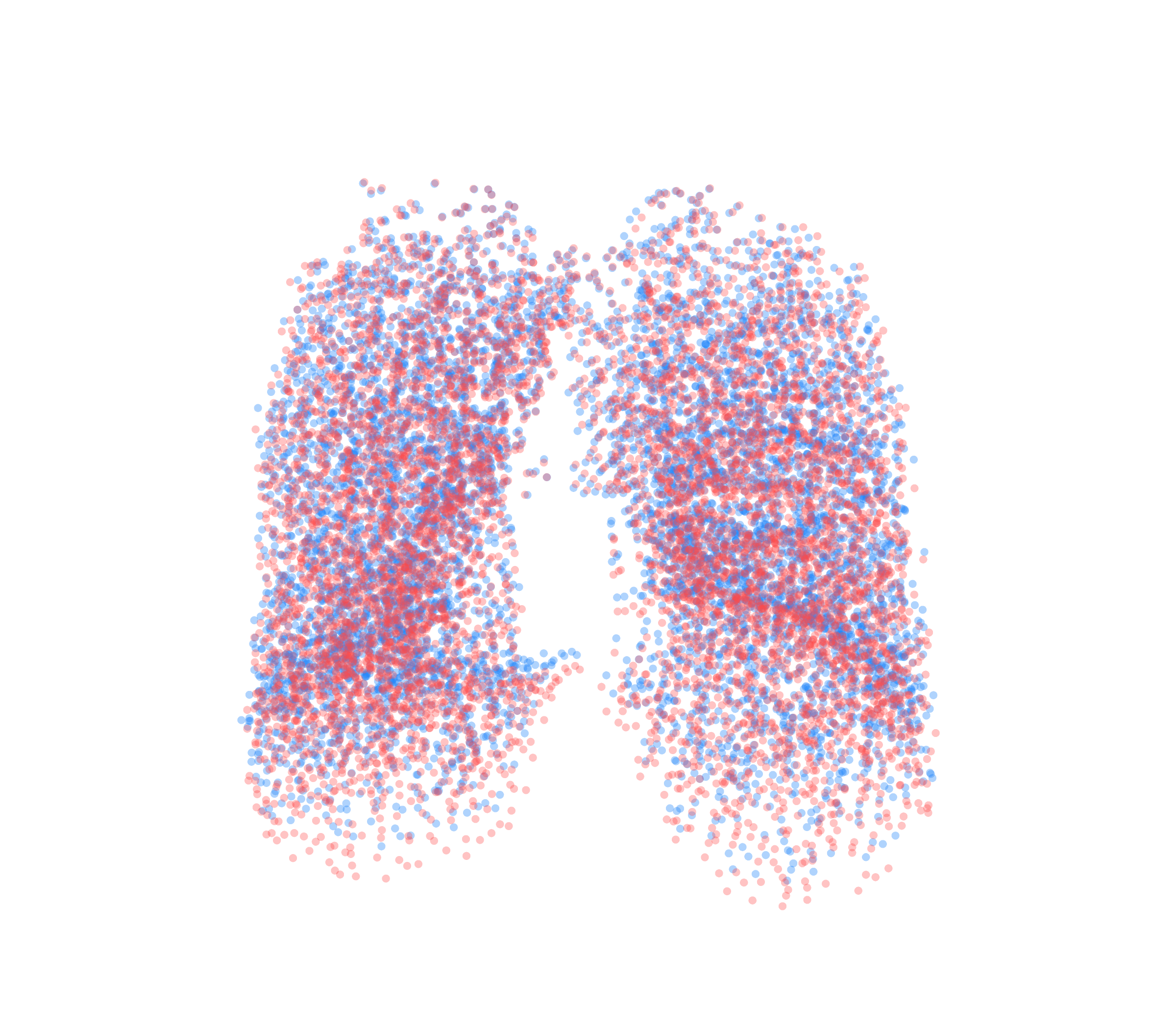 Point Cloud - Front View
