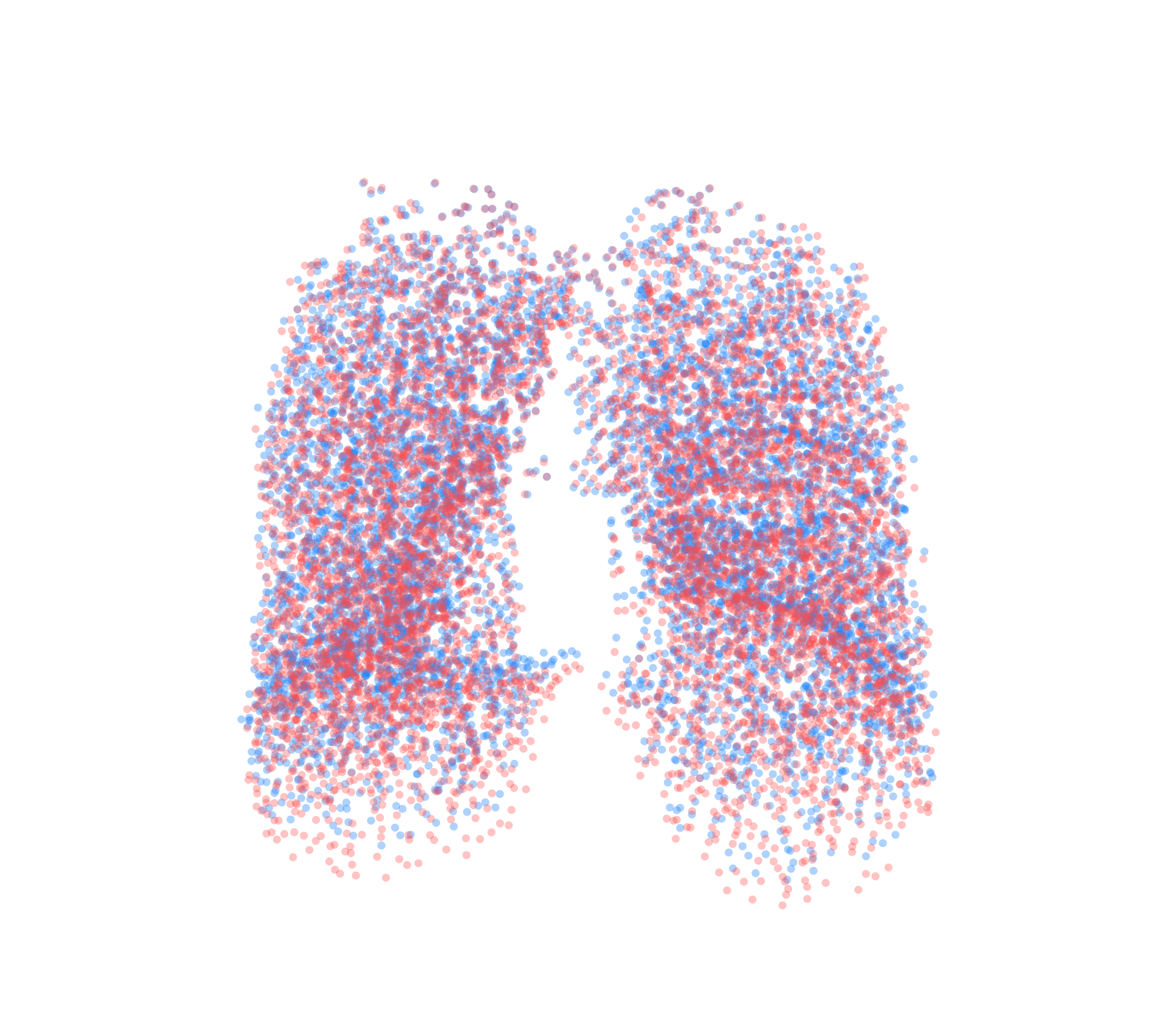 Point Cloud - Front View