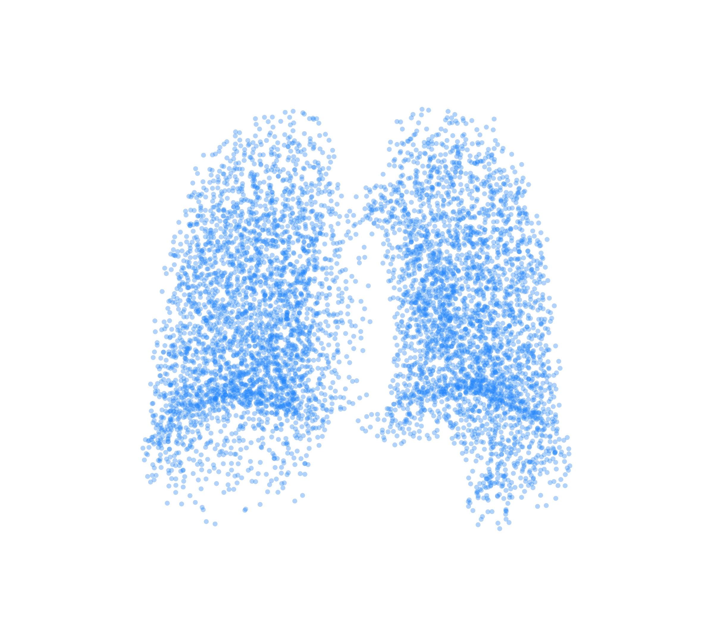 Point Cloud (Inspiration) - Back View