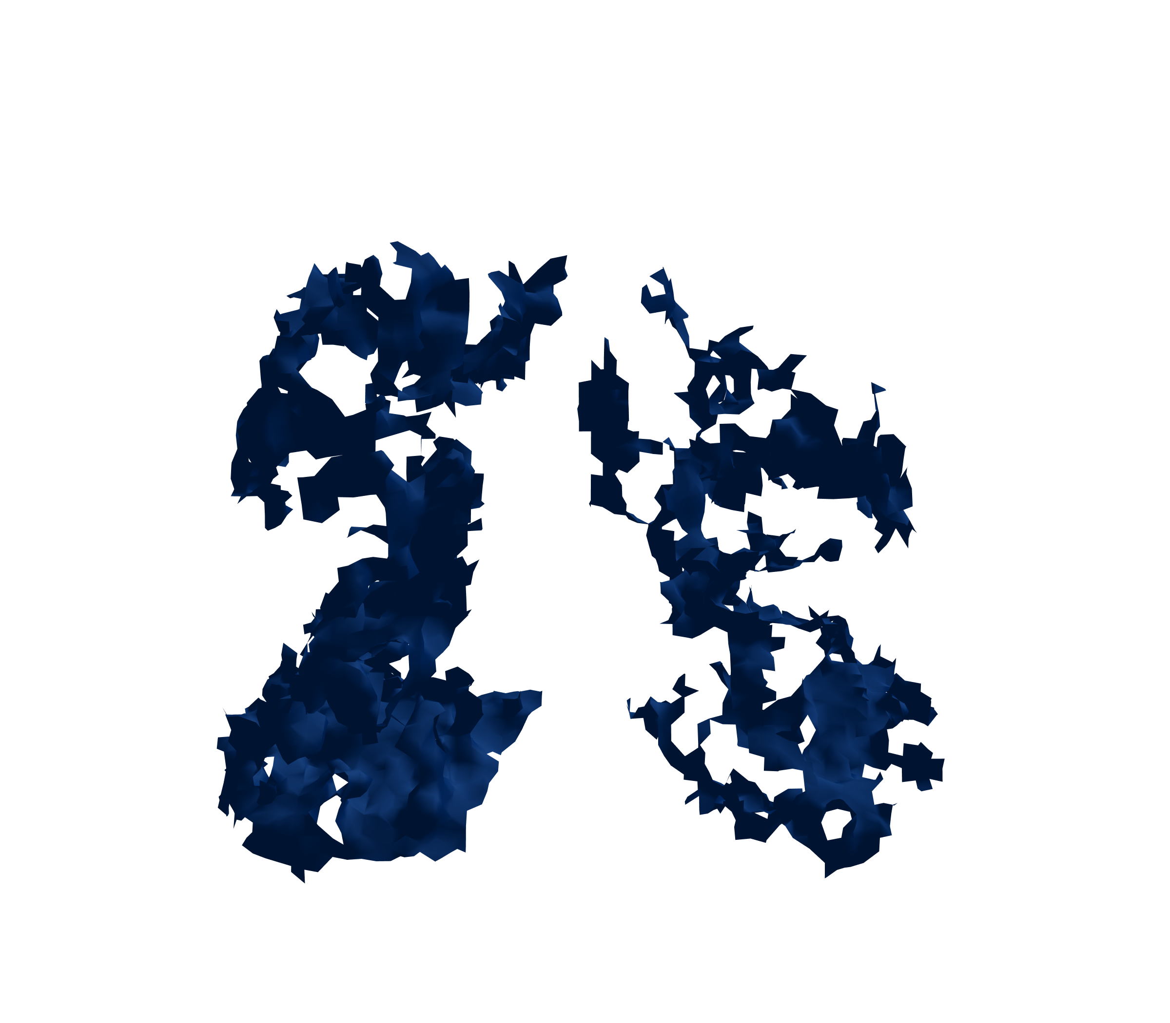 Surface Mesh (Inspiration) - Front View