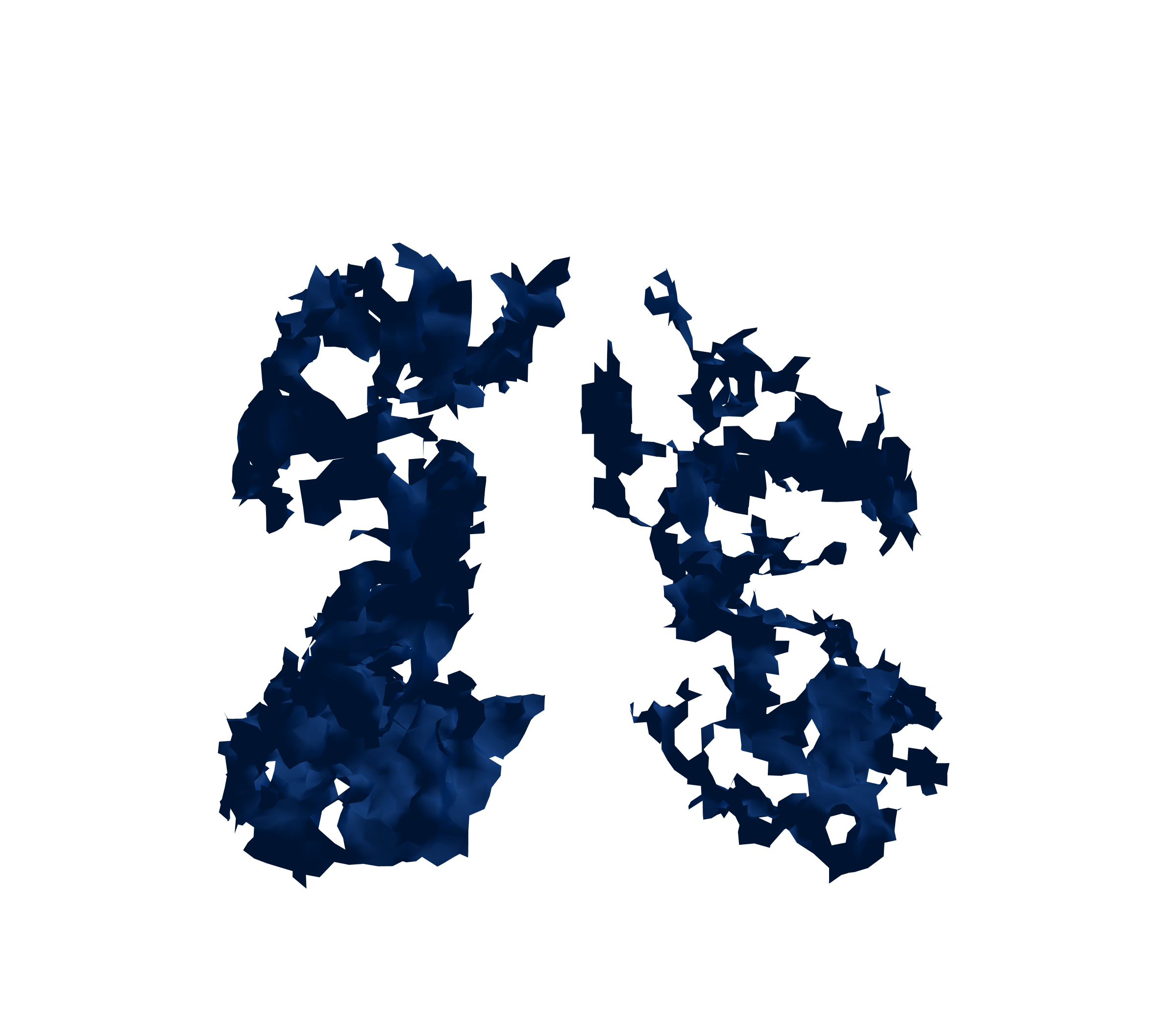 Surface Mesh (Inspiration) - Front View