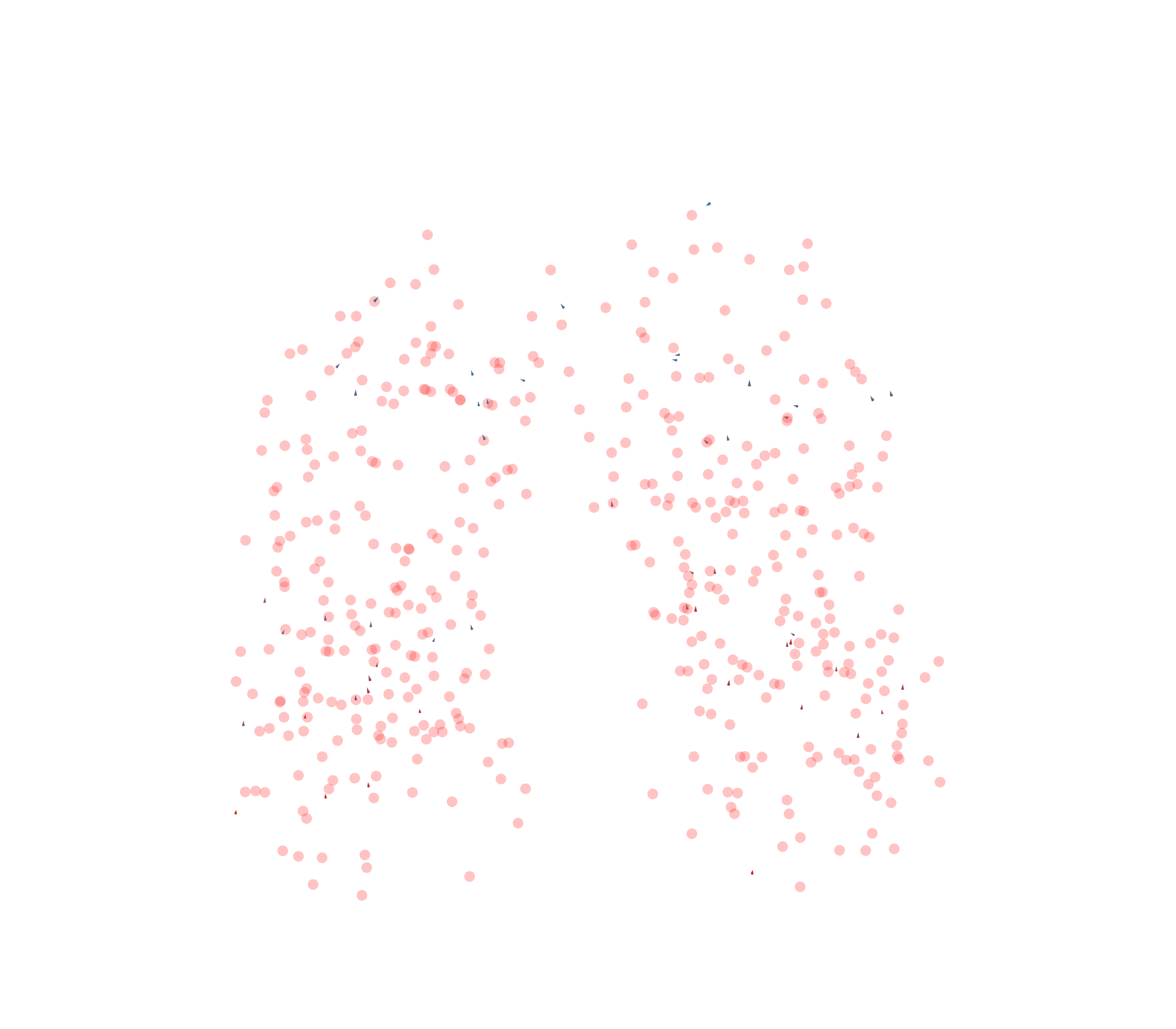 Displacement Vectors - Front View