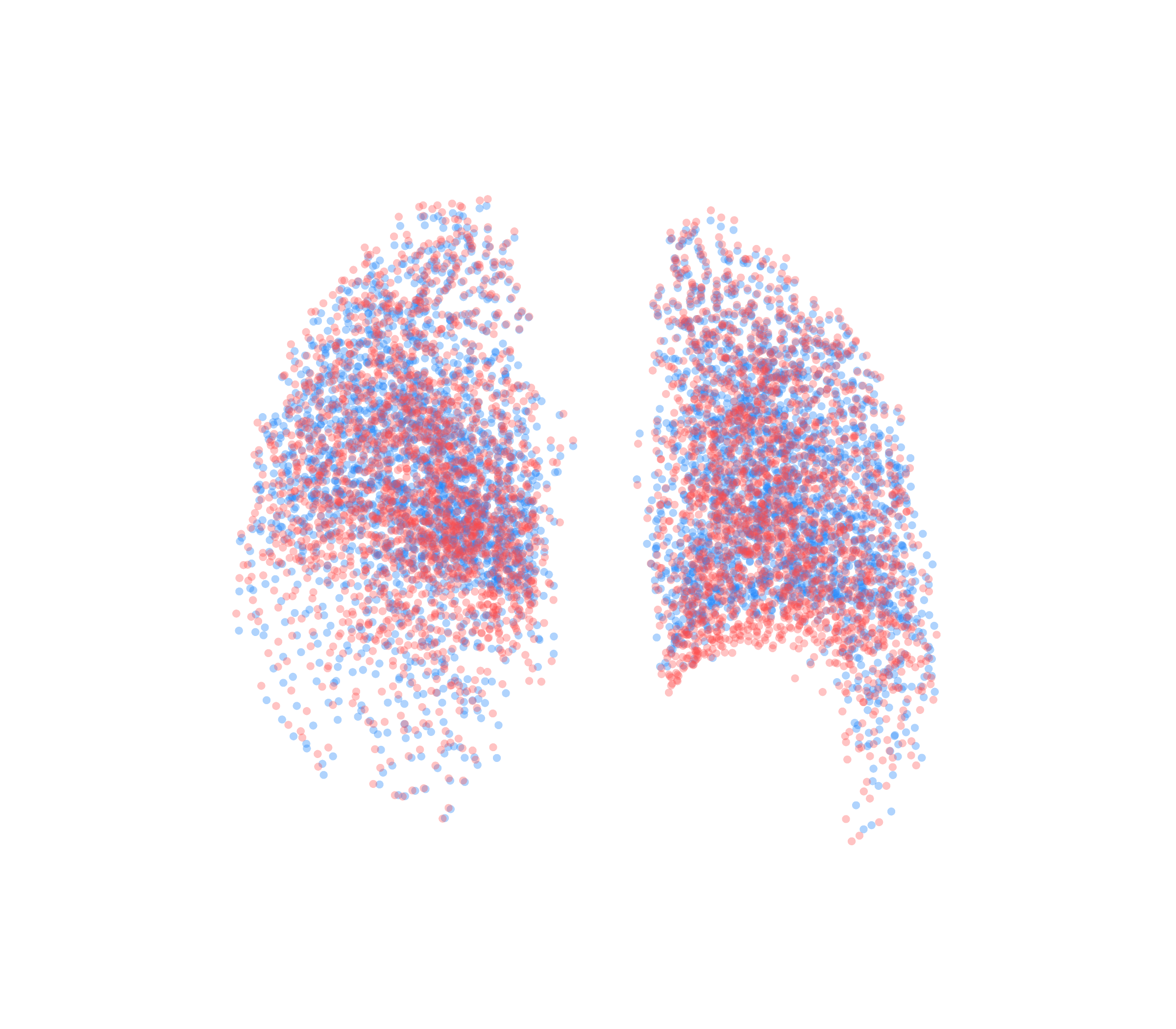 Point Cloud - Back View