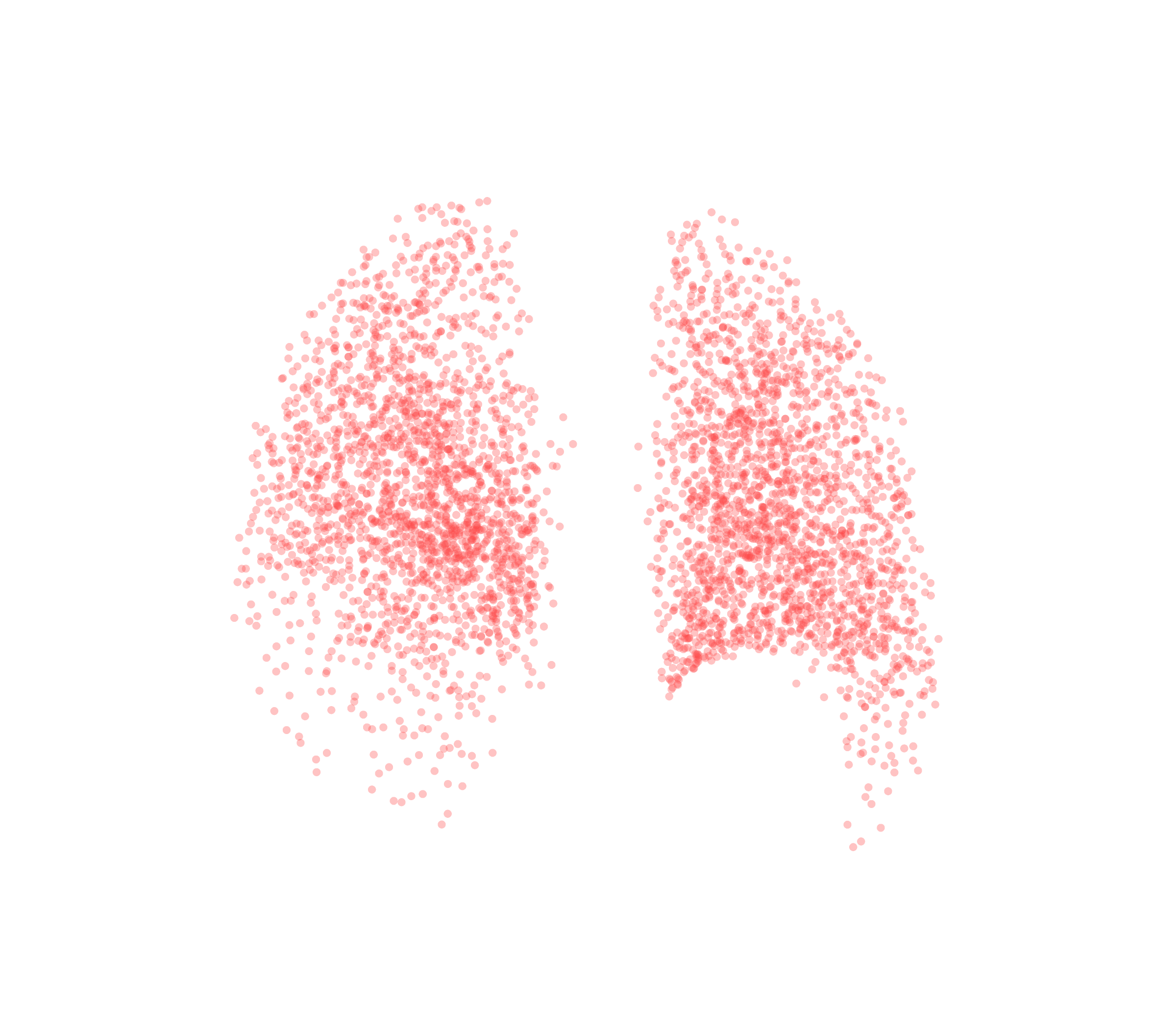 Point Cloud (Expiration) - Back View