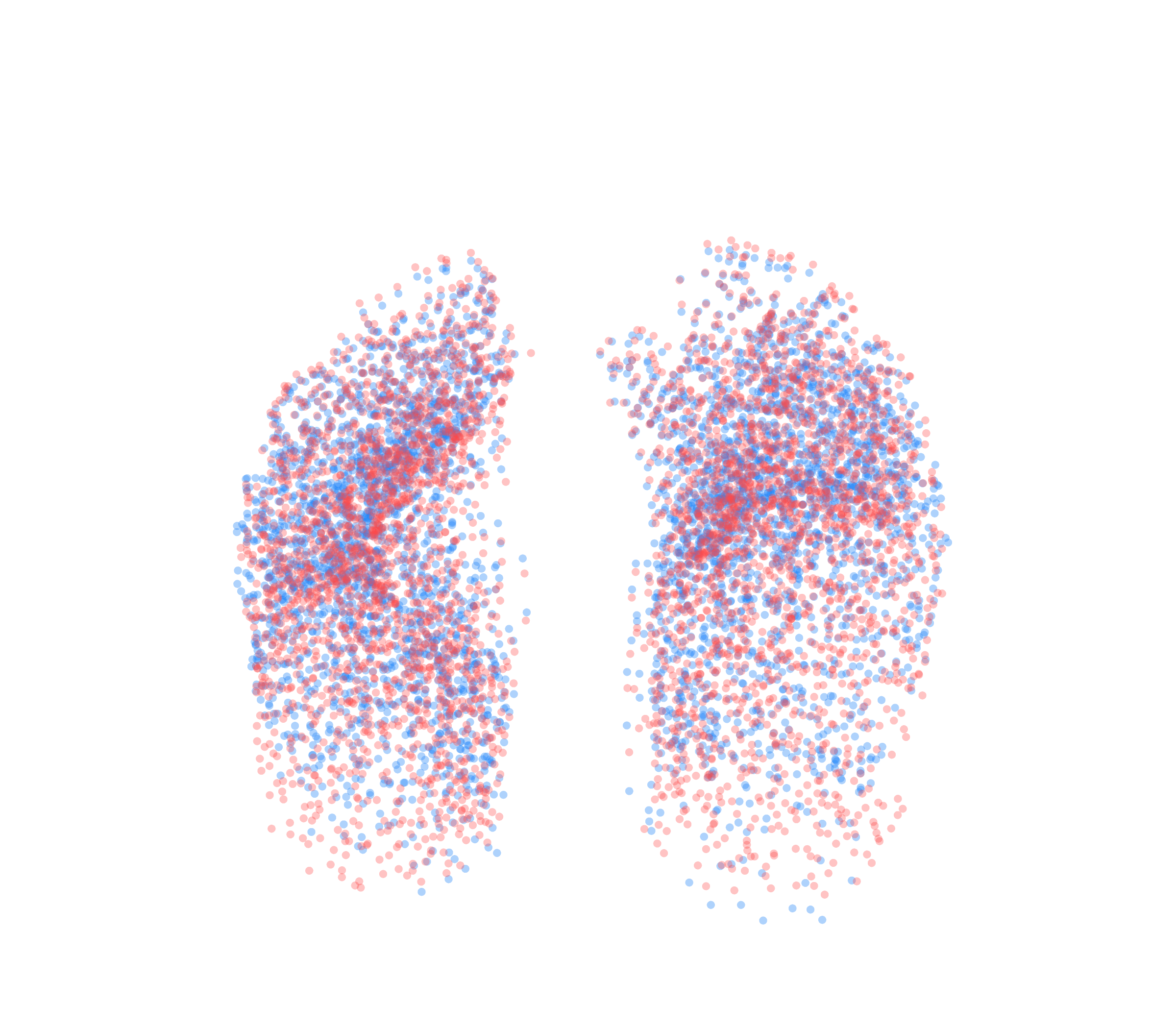 Point Cloud - Front View