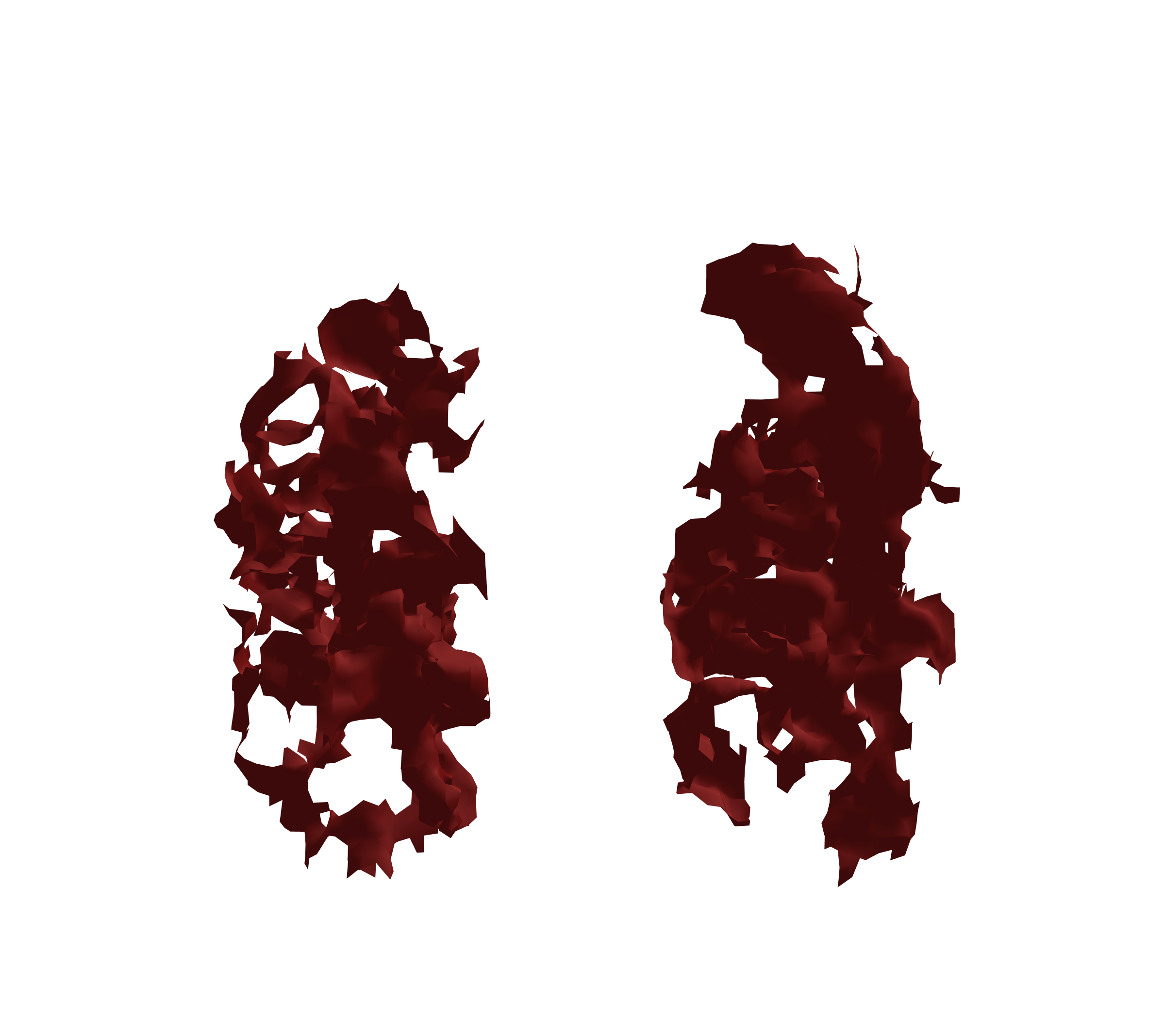 Surface Mesh (Expiration) - Front View