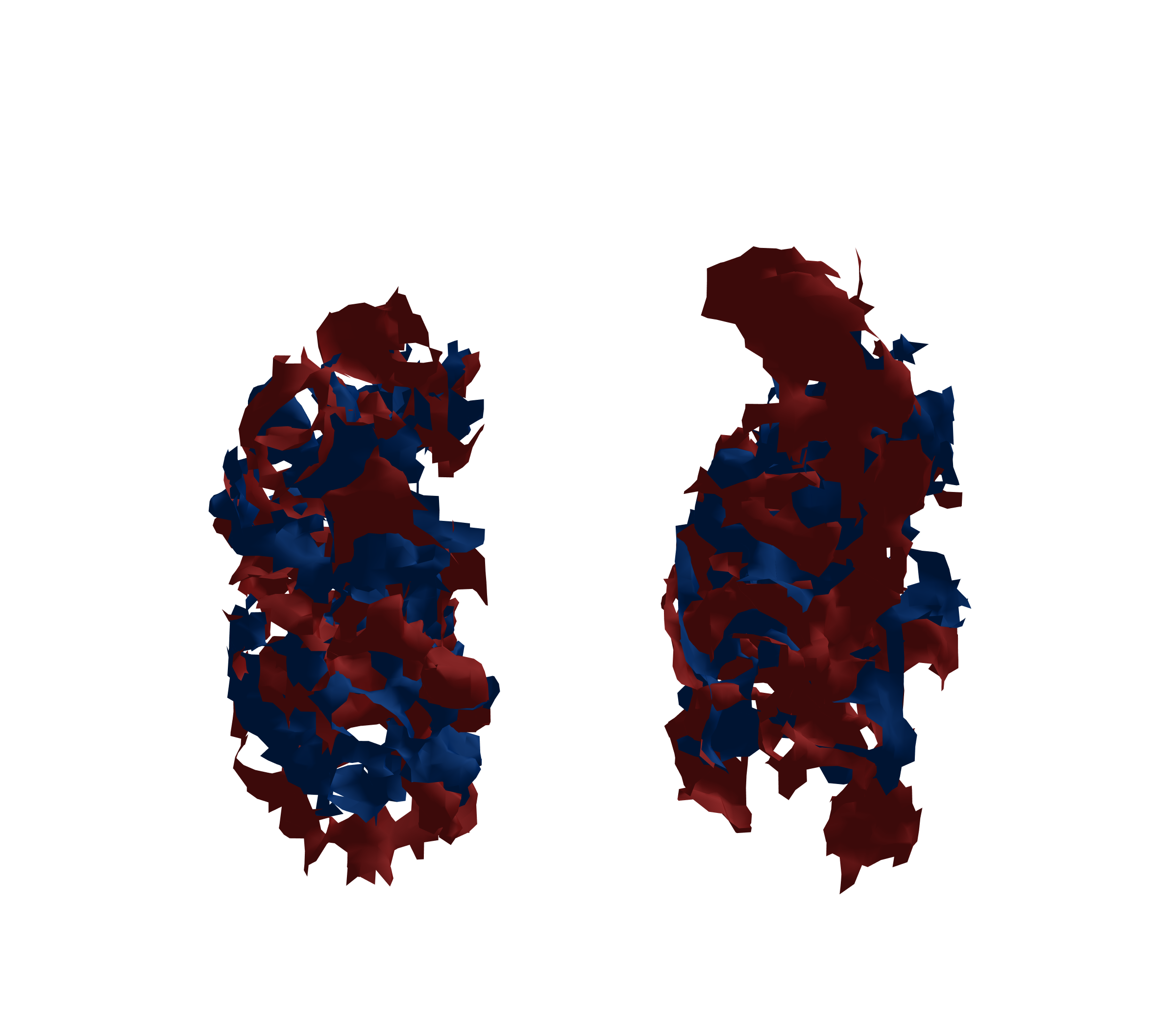 Surface Mesh - Front View